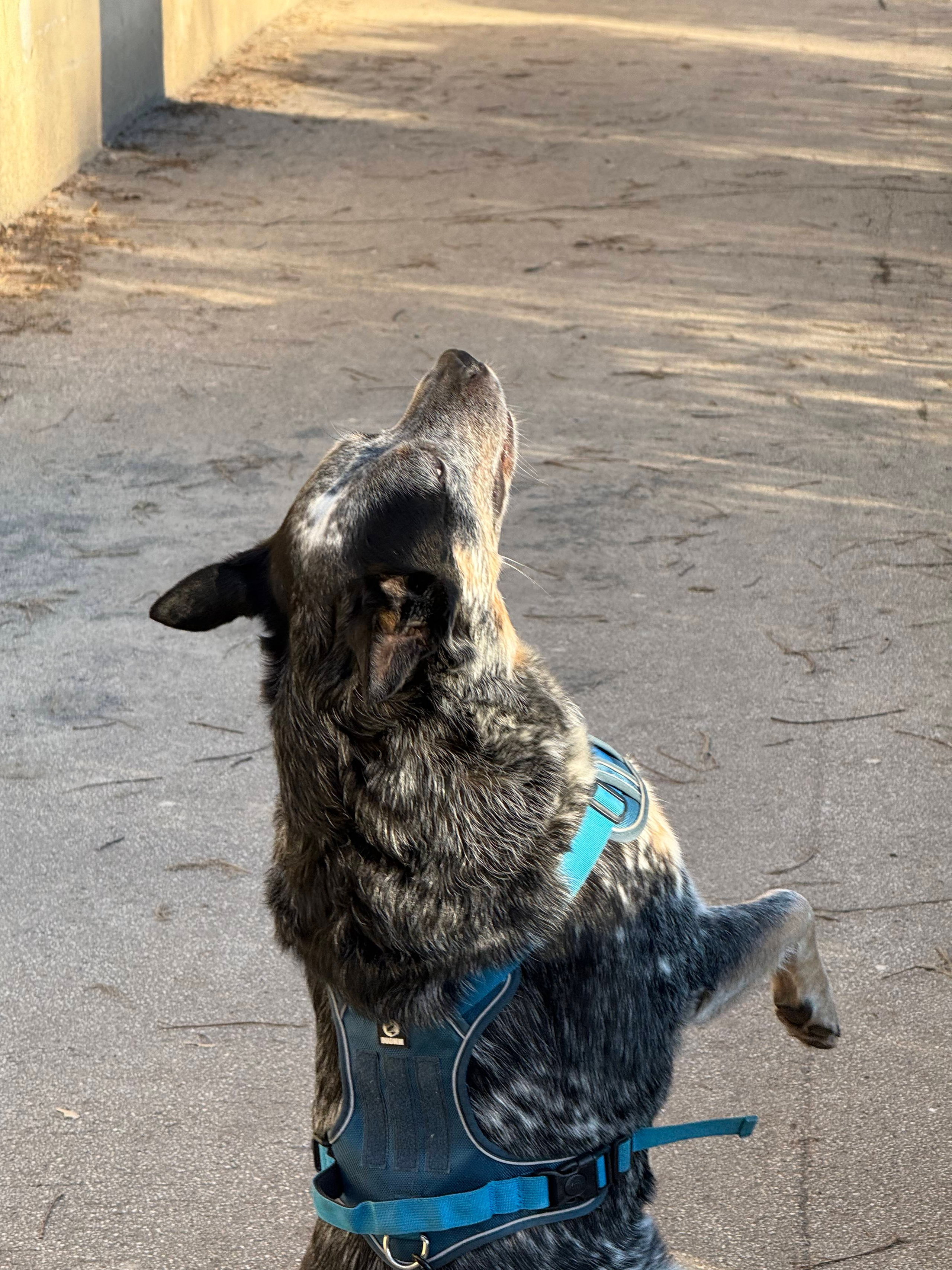 Как прошла первая фото-игра. Анастасия Еремина | Фотограф в Сербии | Персональные и бизнес-фотосессии в Белграде и Нови Саде