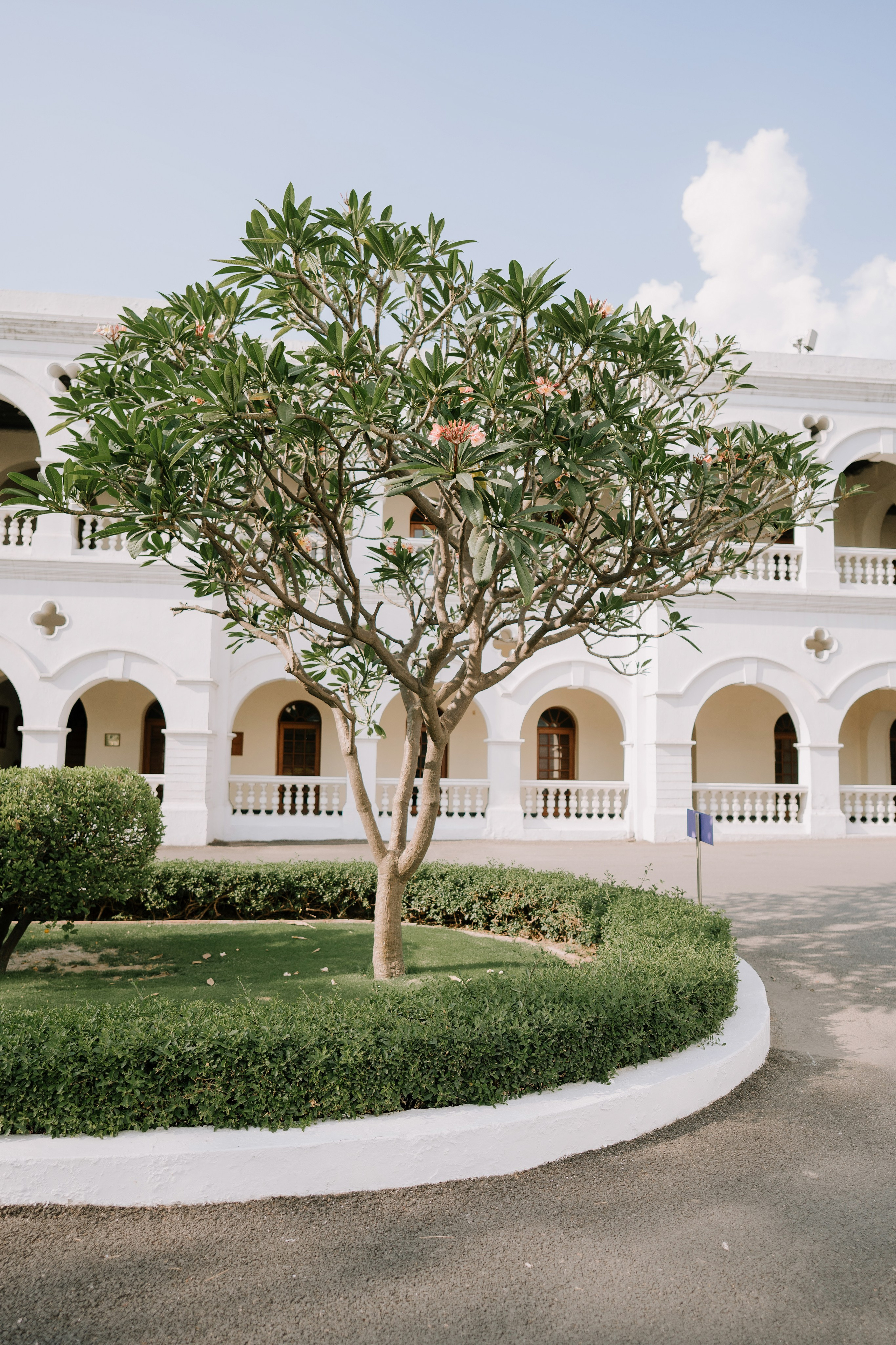 Sikh Wedding!. Fine art Wedding Photographers in India & Canada