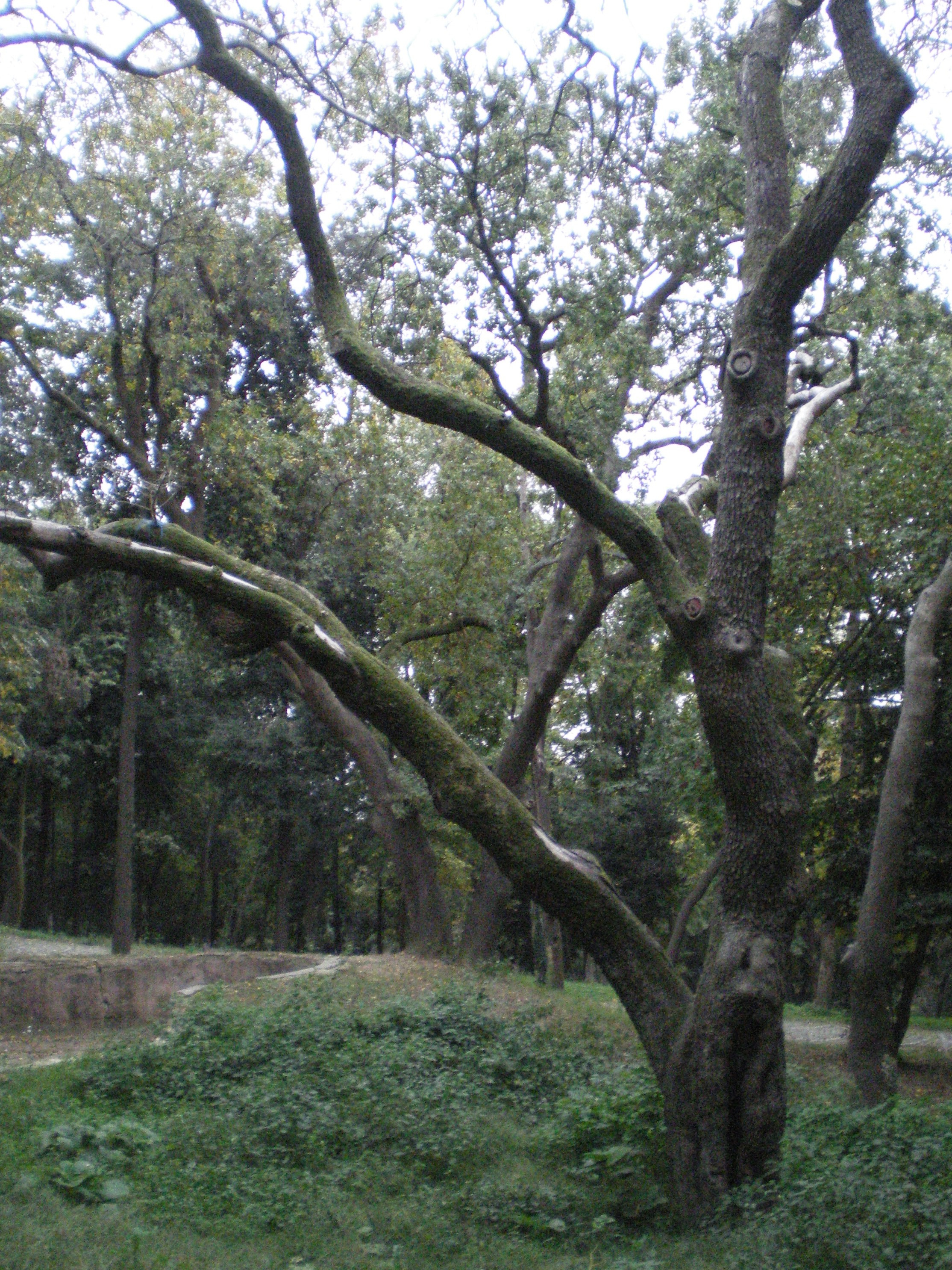 Ode to istanbul. Daria Sukhikh | Photography