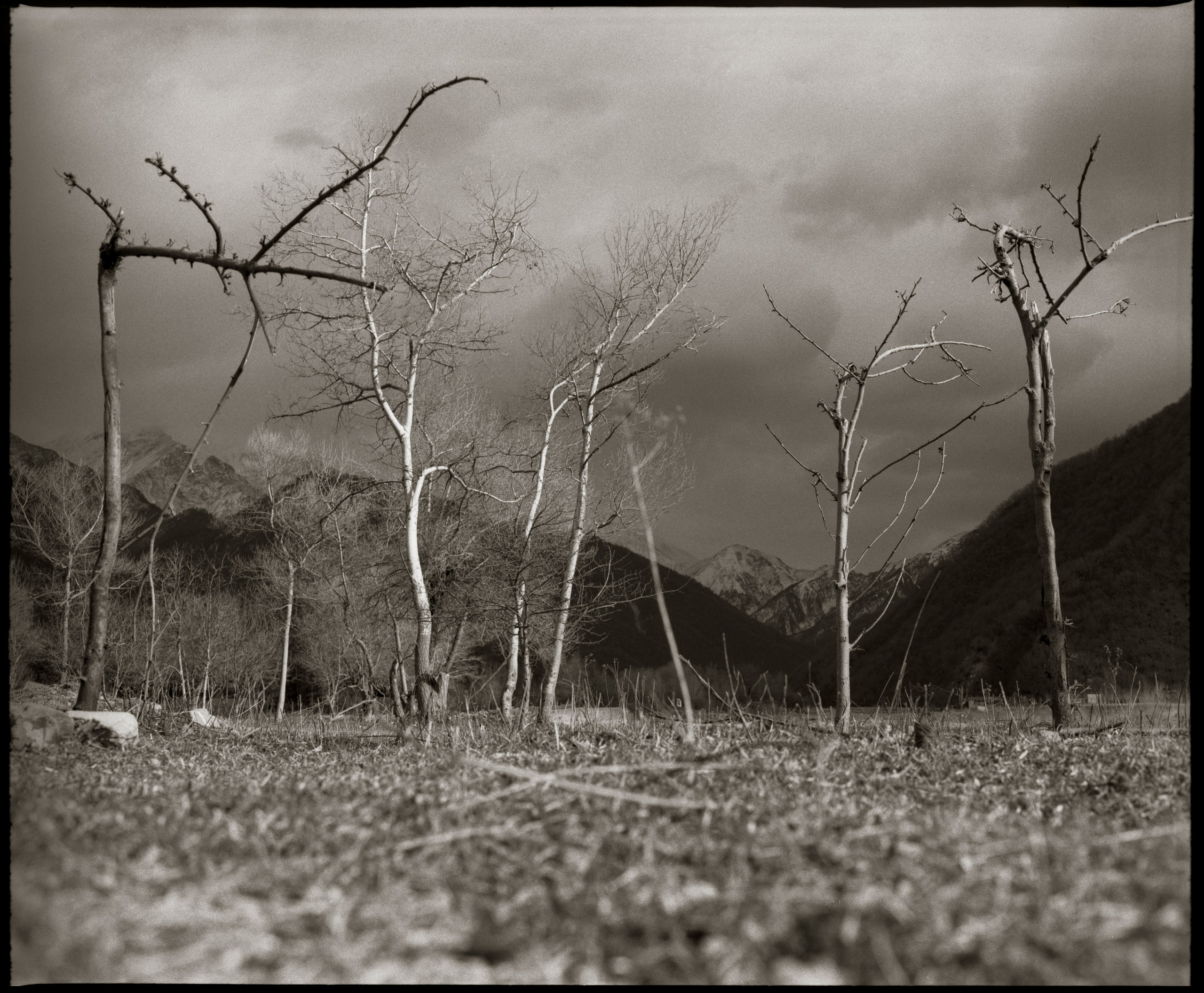 NATURE. Www.sananaleskerov.com