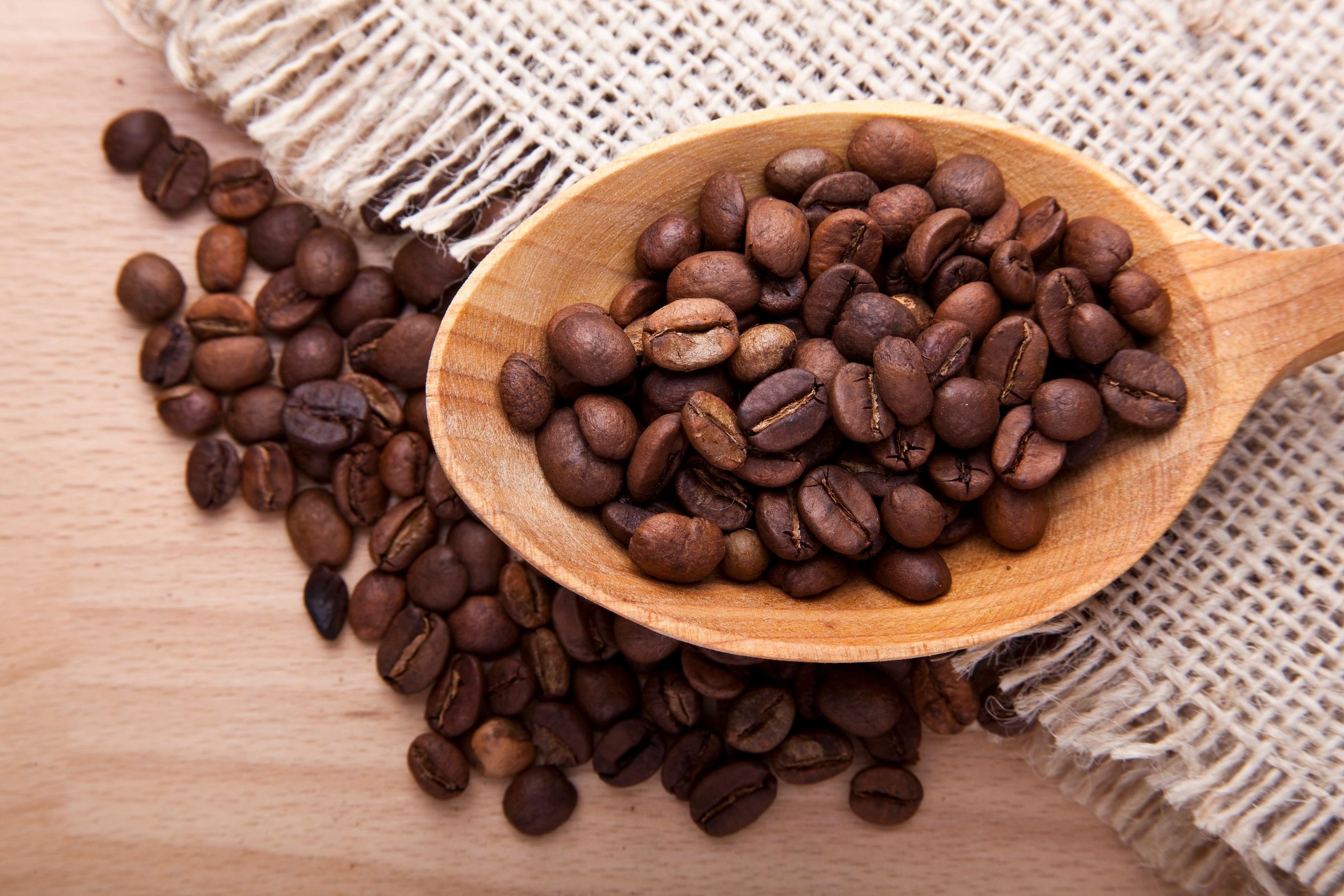 Hrana. Adam Radosavljevic fotograf