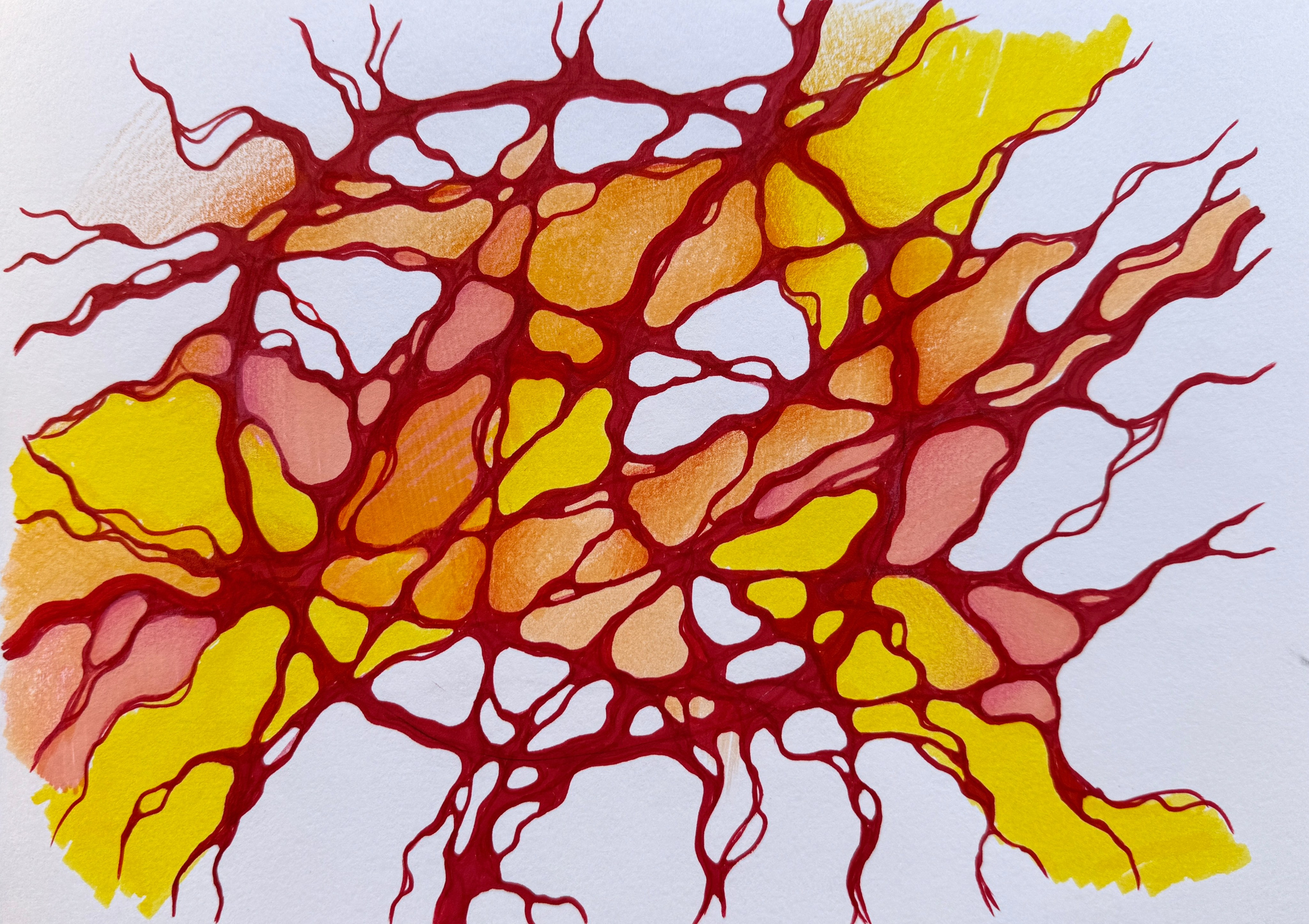 Moje slike. Numerologija. Nevrografika. Delavnice