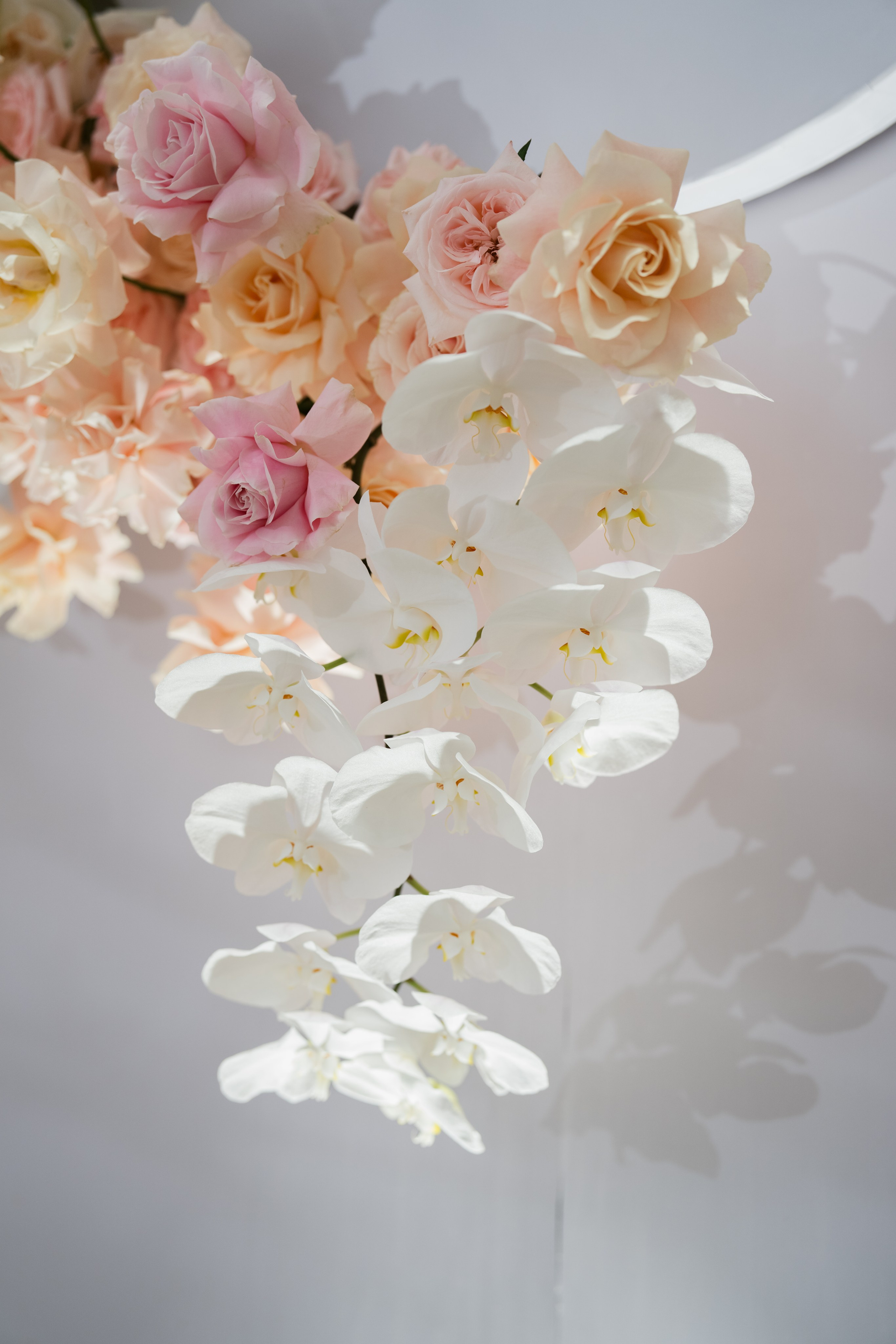 Duc + Chi | Photojournalism. BenColor Studio