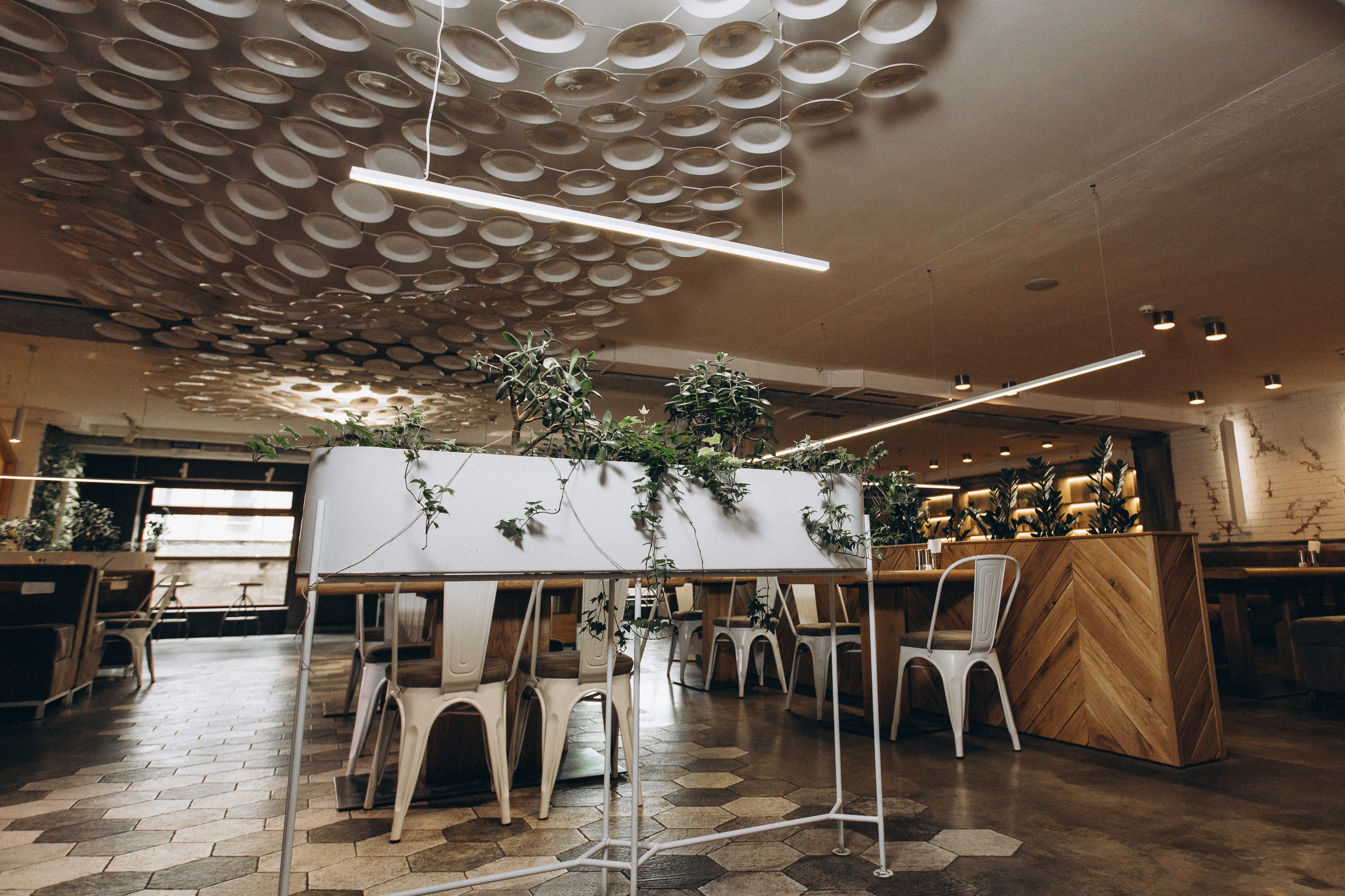 Мережа ресторанів Classic. Ірина Терещук