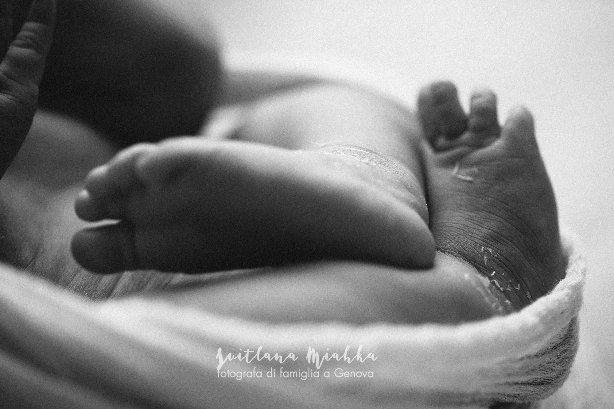 Newborn 2025. Svitlana Miahka fotografa a Genova