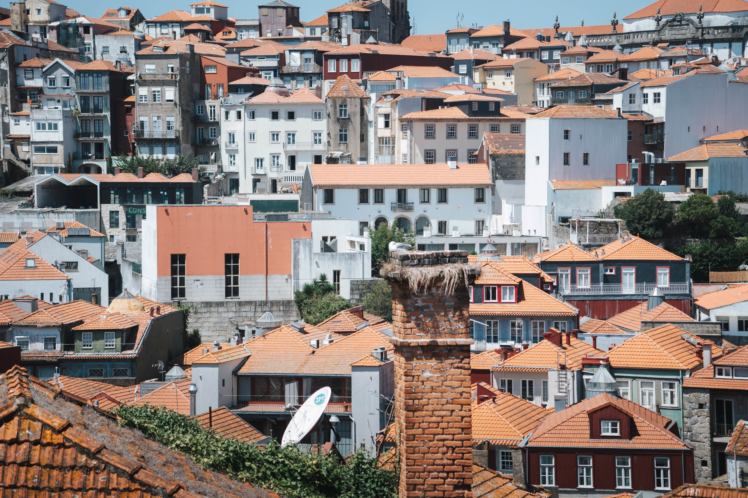 Porto, Agosto 2024. Alba del Norte Studio