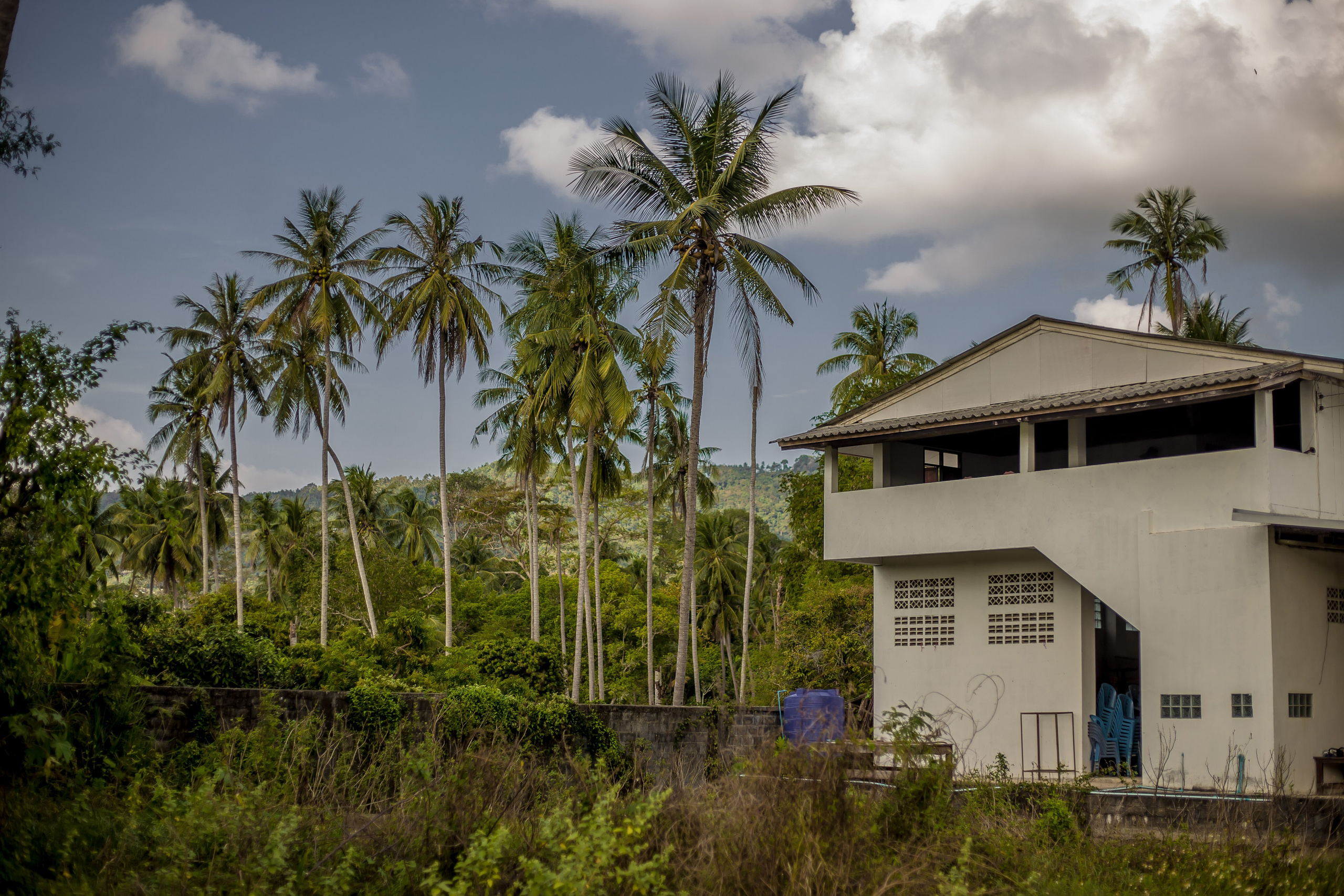 Thailand 2023, Samui. Art Photographer