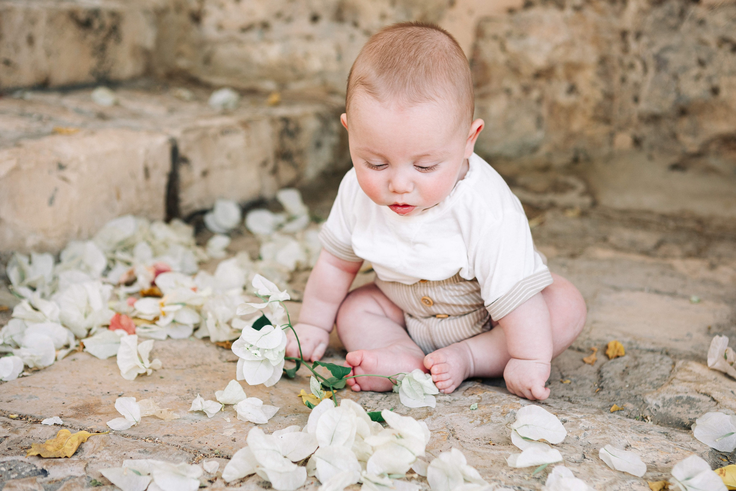 MINI PHOTO SEMMON IN YAMIN MOSHE (MORNING). Https://shi-photo.com/