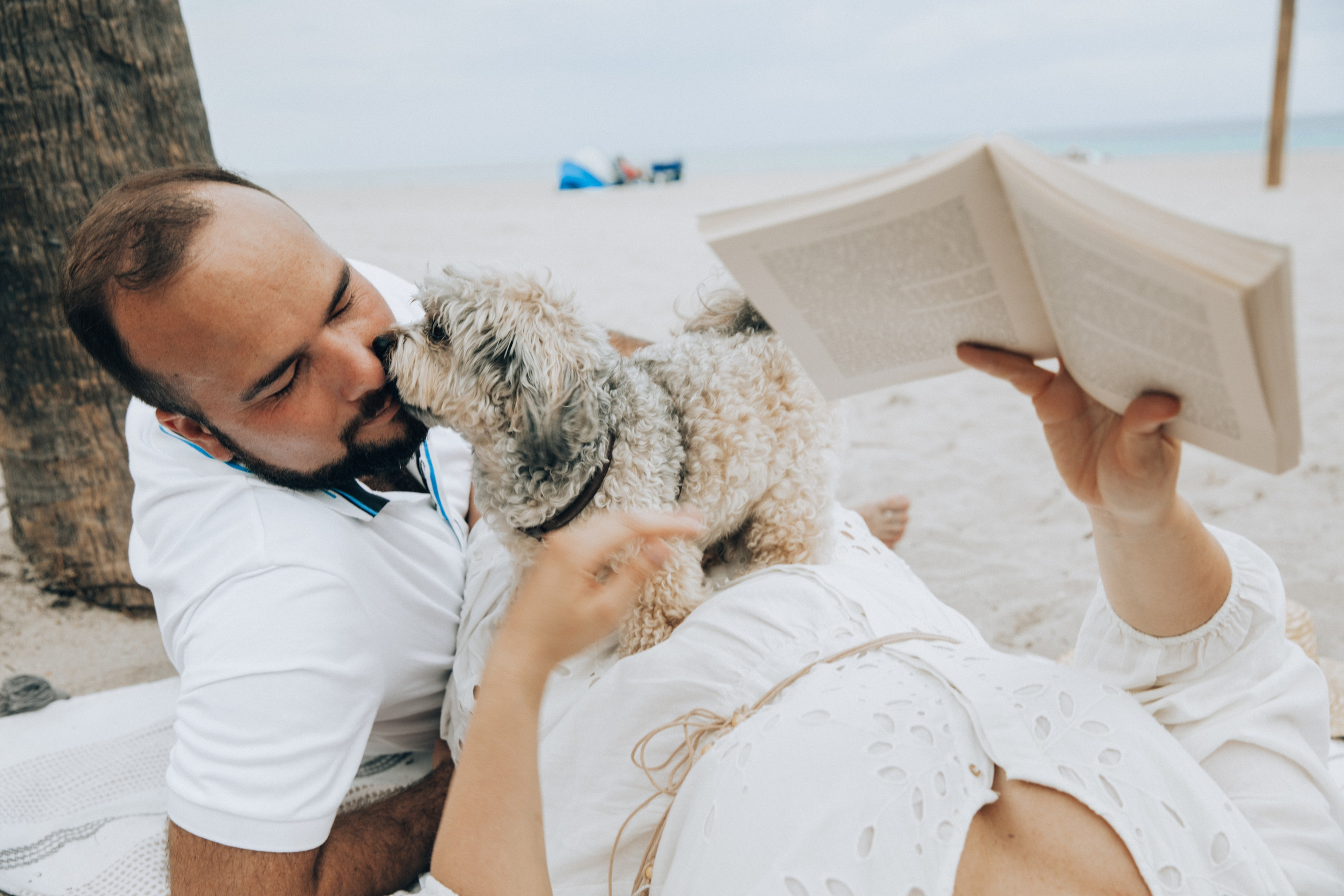 Maternity. Photographer in Miami, Family photographer, Event, Wedding