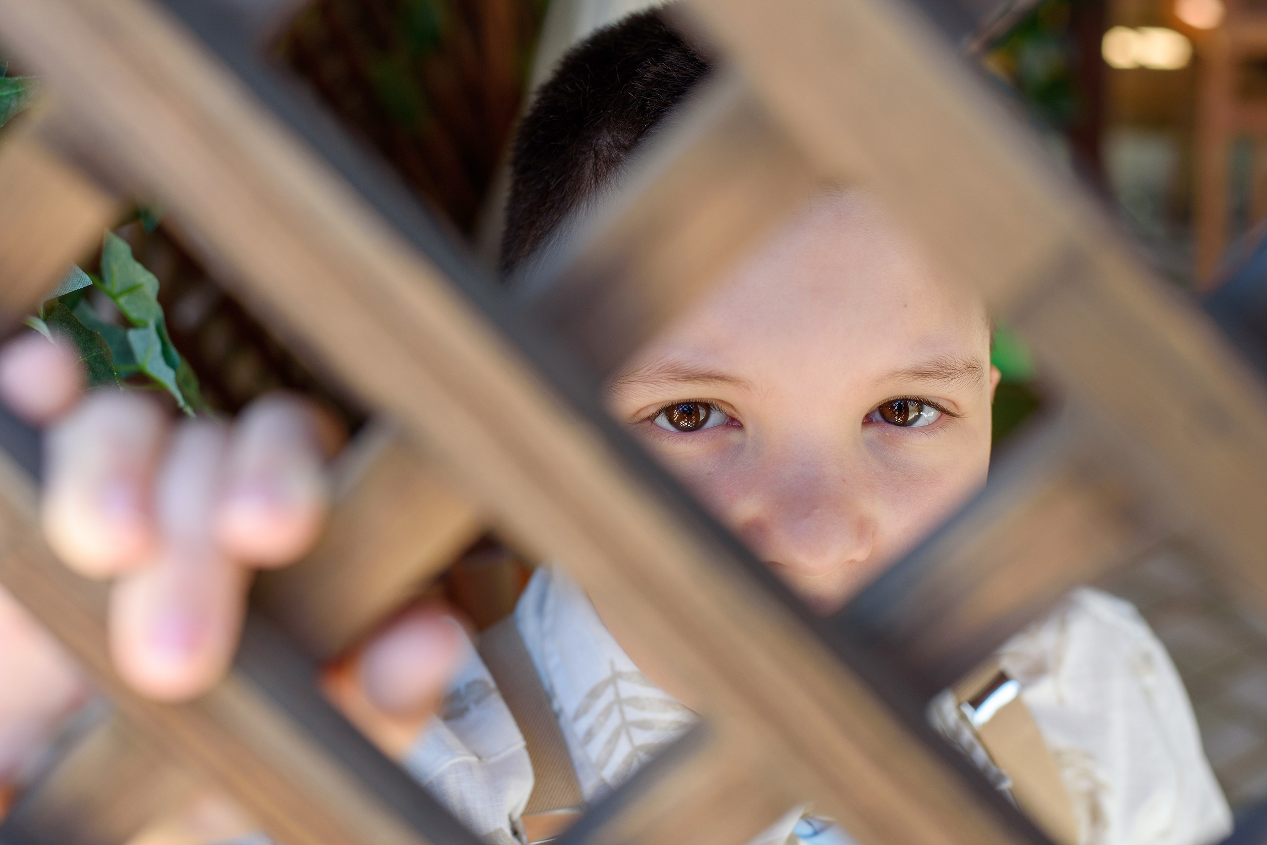 Pier Domenico. Fotografo di famiglia