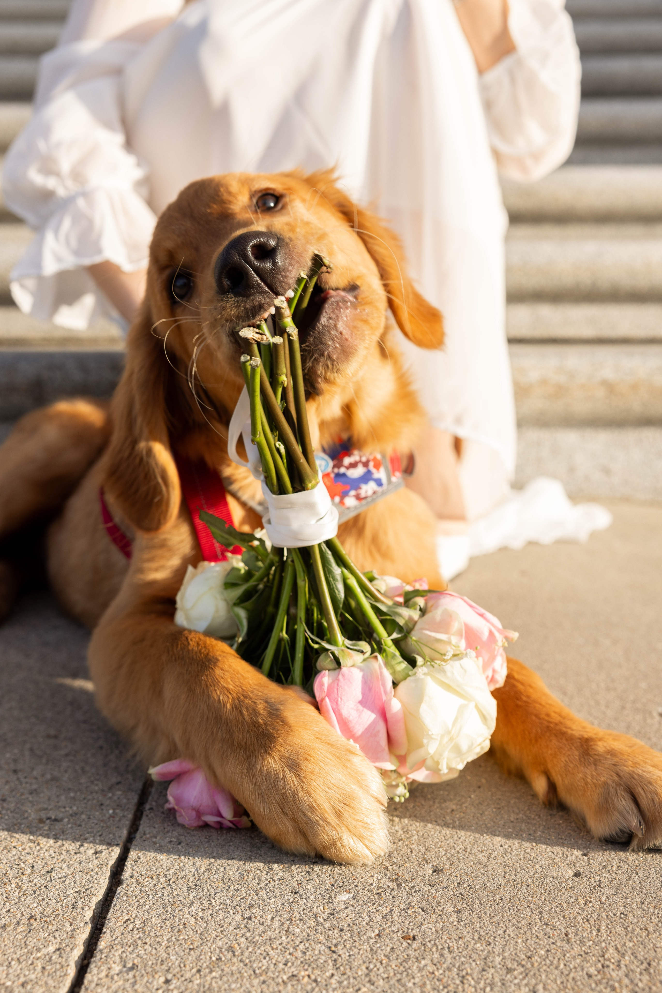 M&e. Wedding photography and videography in Regina, Saskatchewan