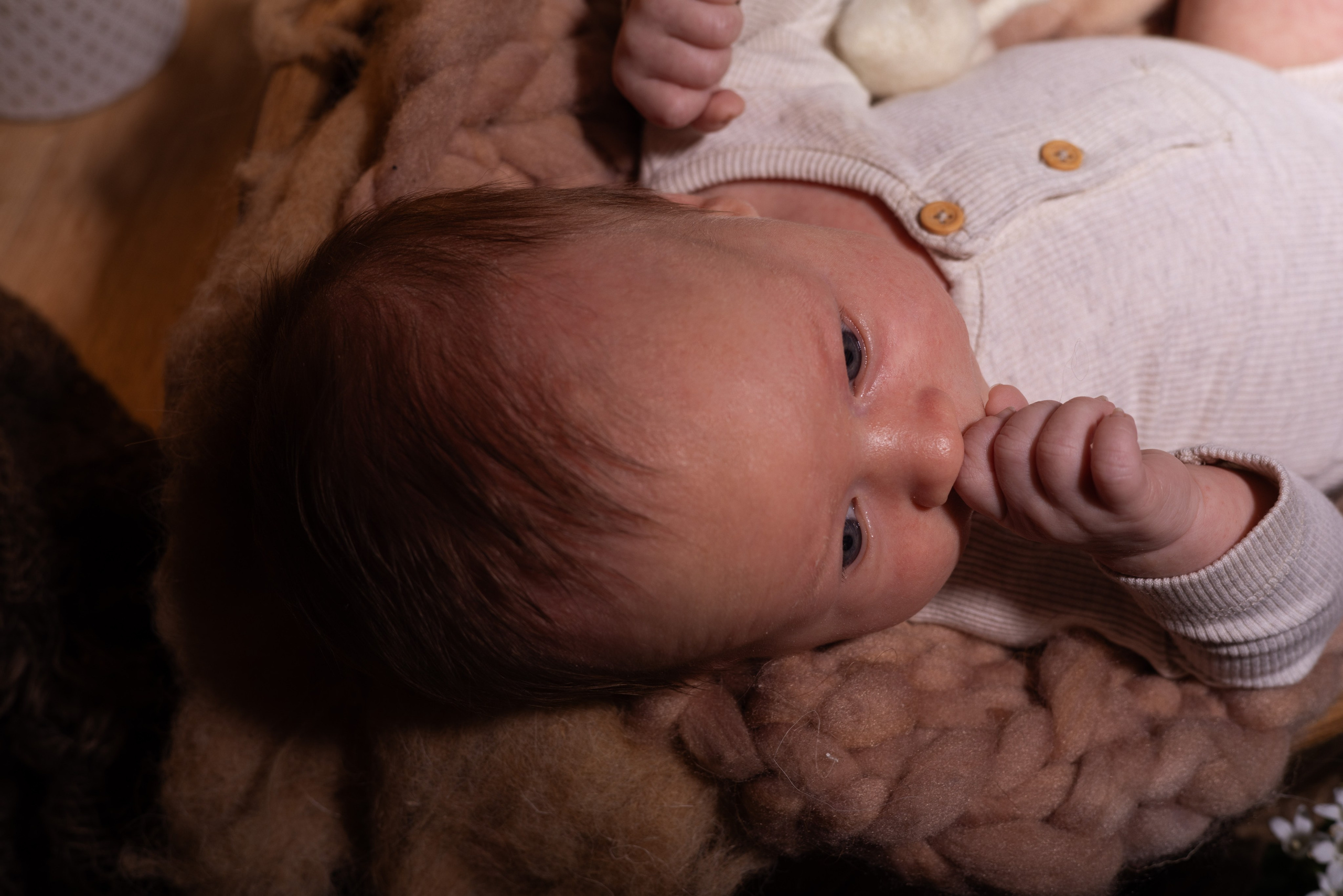 NEWBORN / LIFESTYLE INDOOR. Fotografin und Videografin im Raum Osnabrück und Emsland Alla