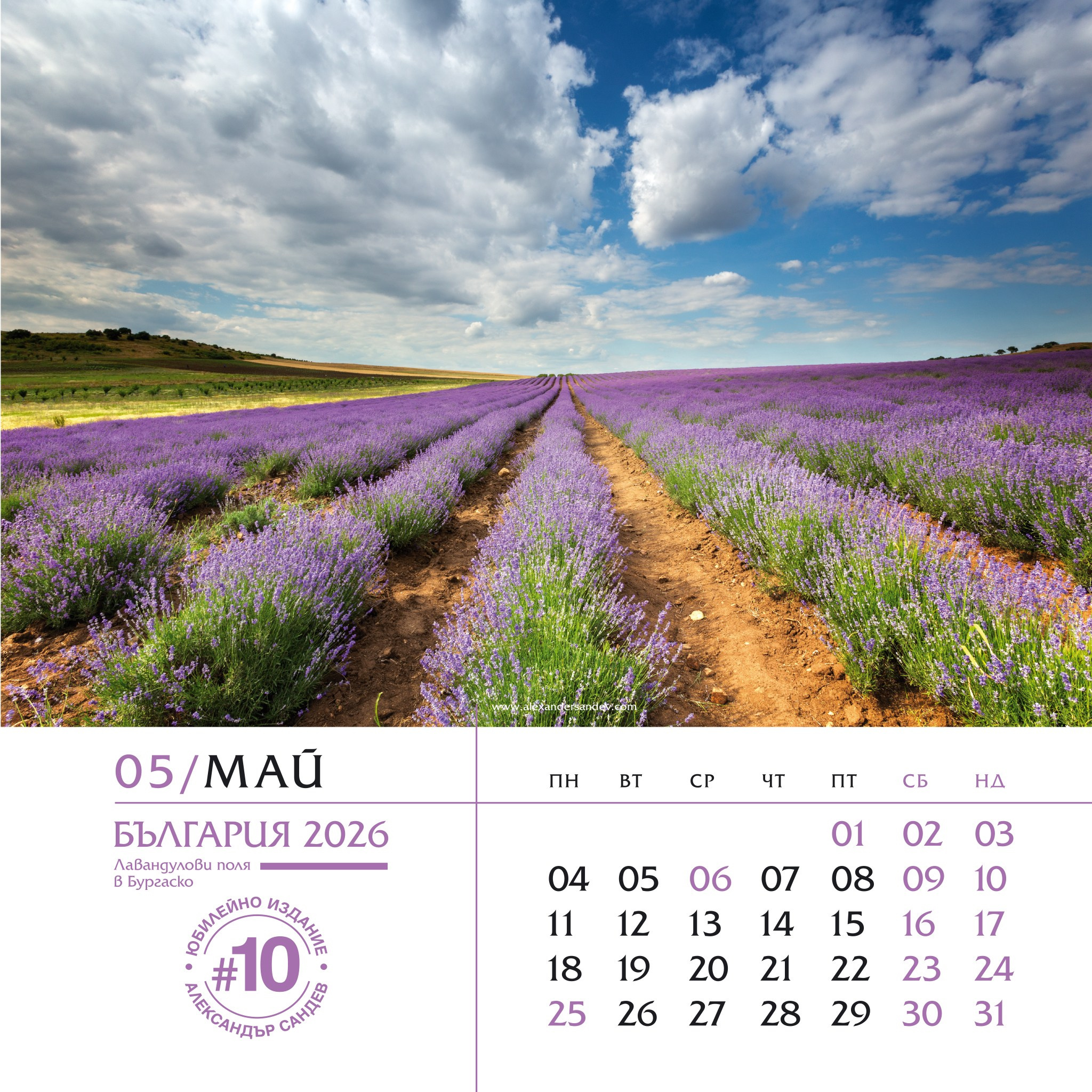 България 2026. Александър Сандев - website