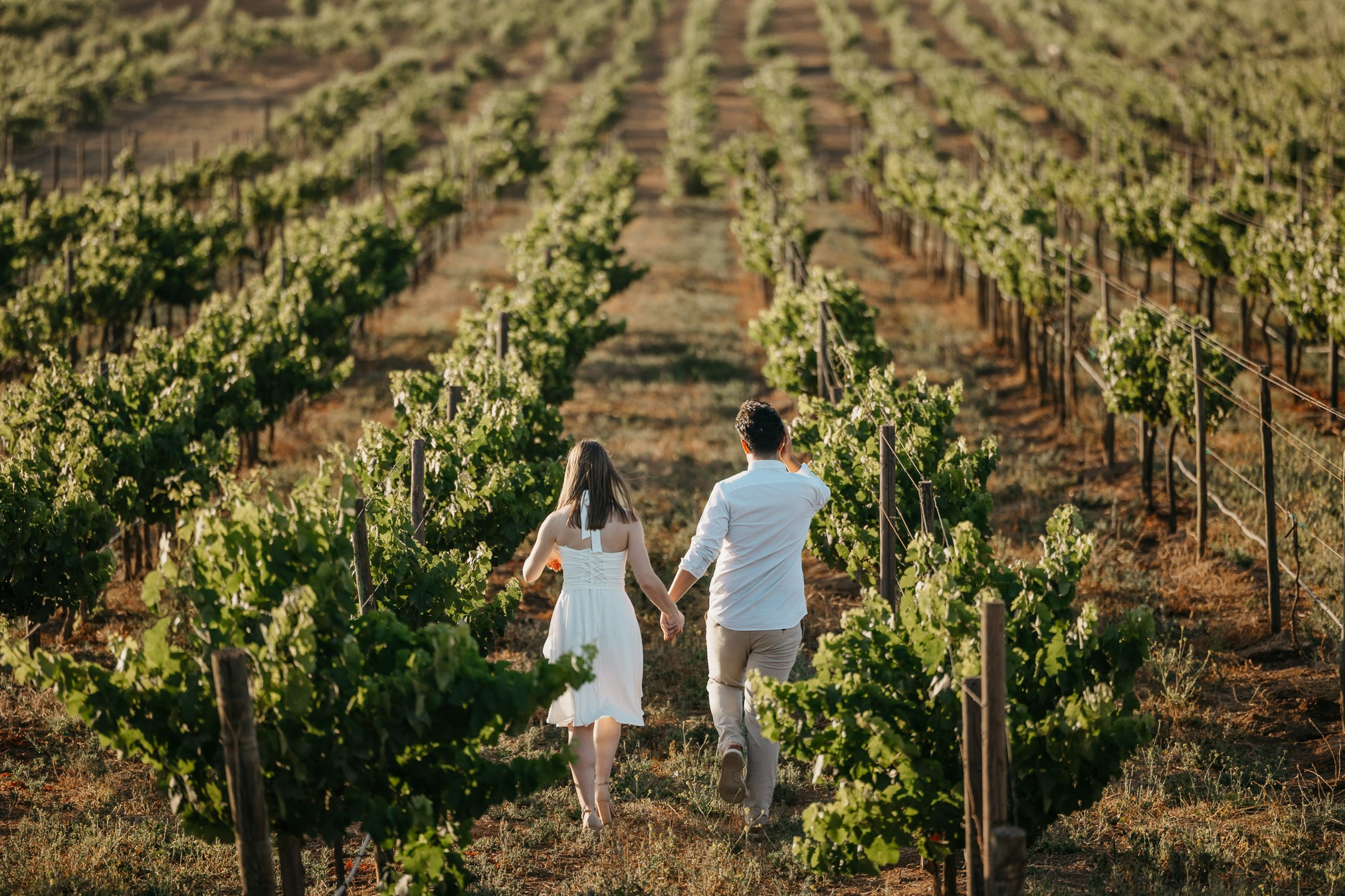 Valle de Guadalupe Save The Date Kristen y Luis. Estudio de fotografia en Tijuana