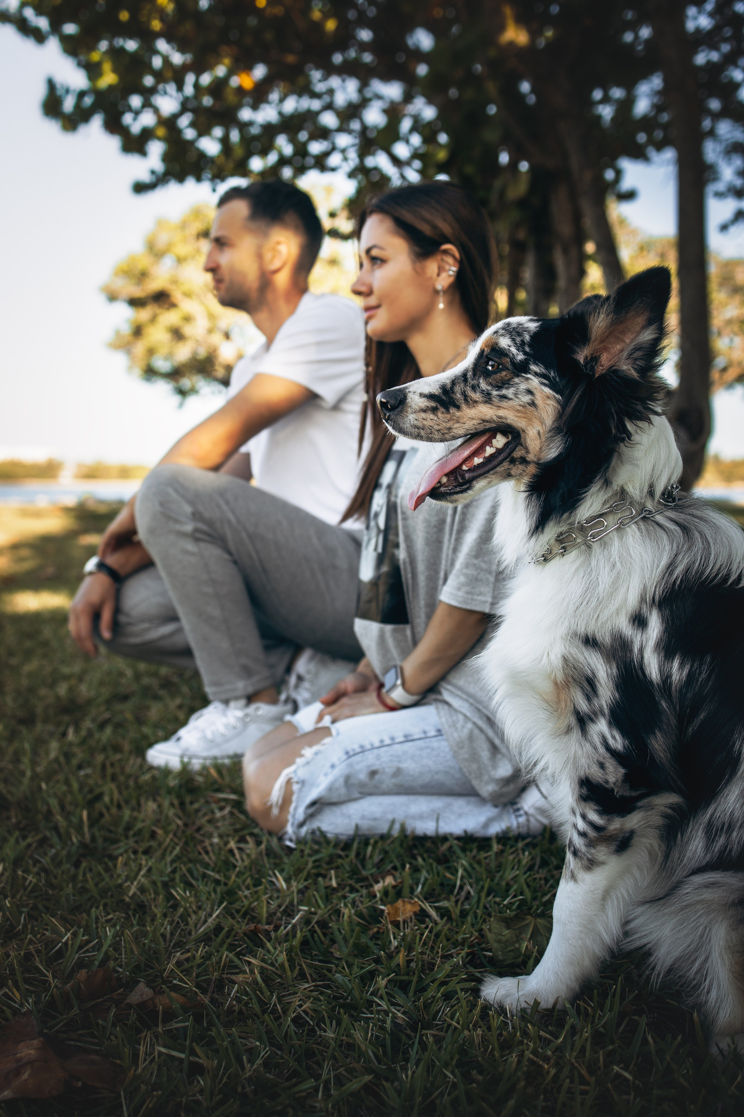 Gru, Marta & Vladimir. Pet Photographer Viktoriya Aleshenko