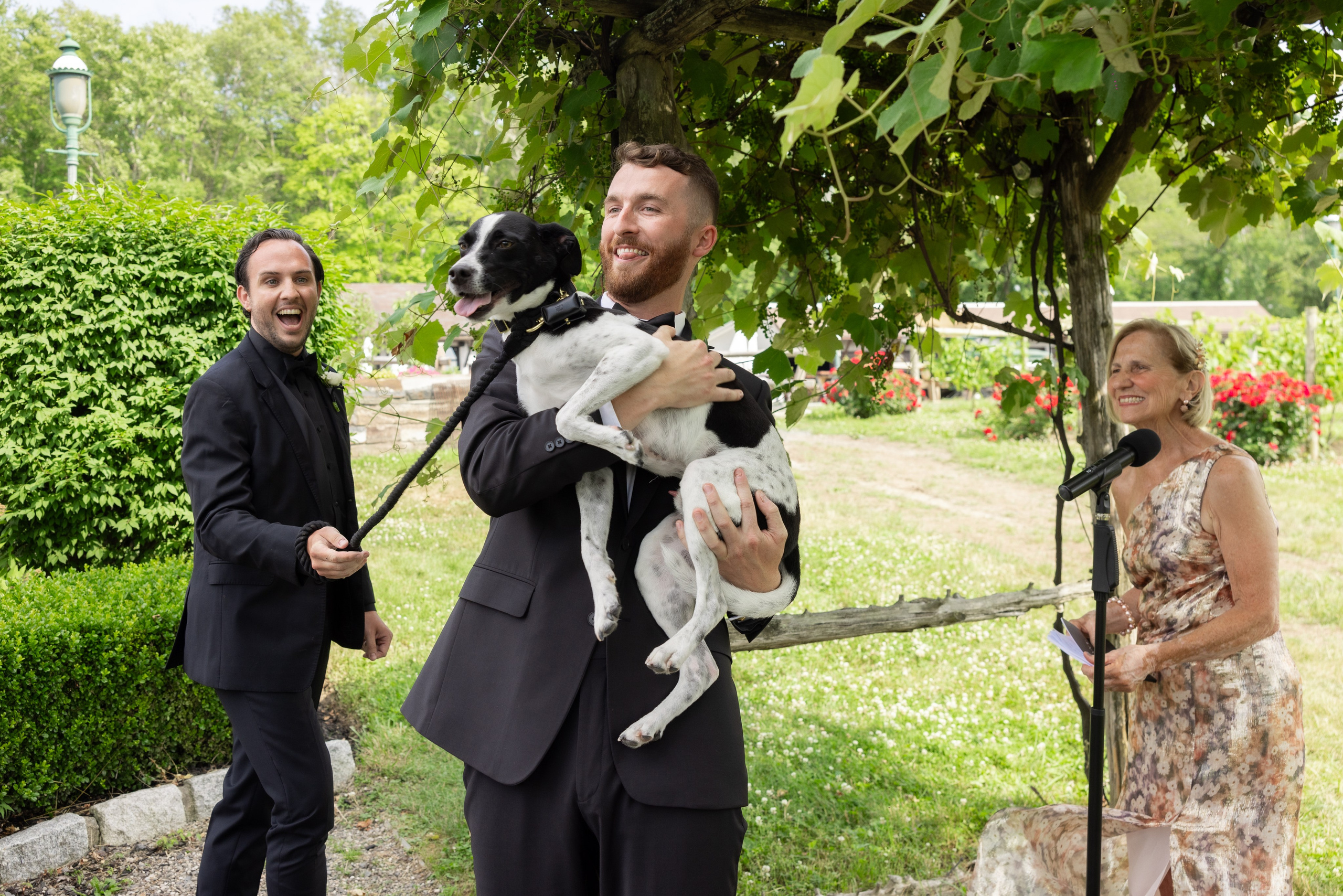 Angelica & Conor. Wedding Photo & Video