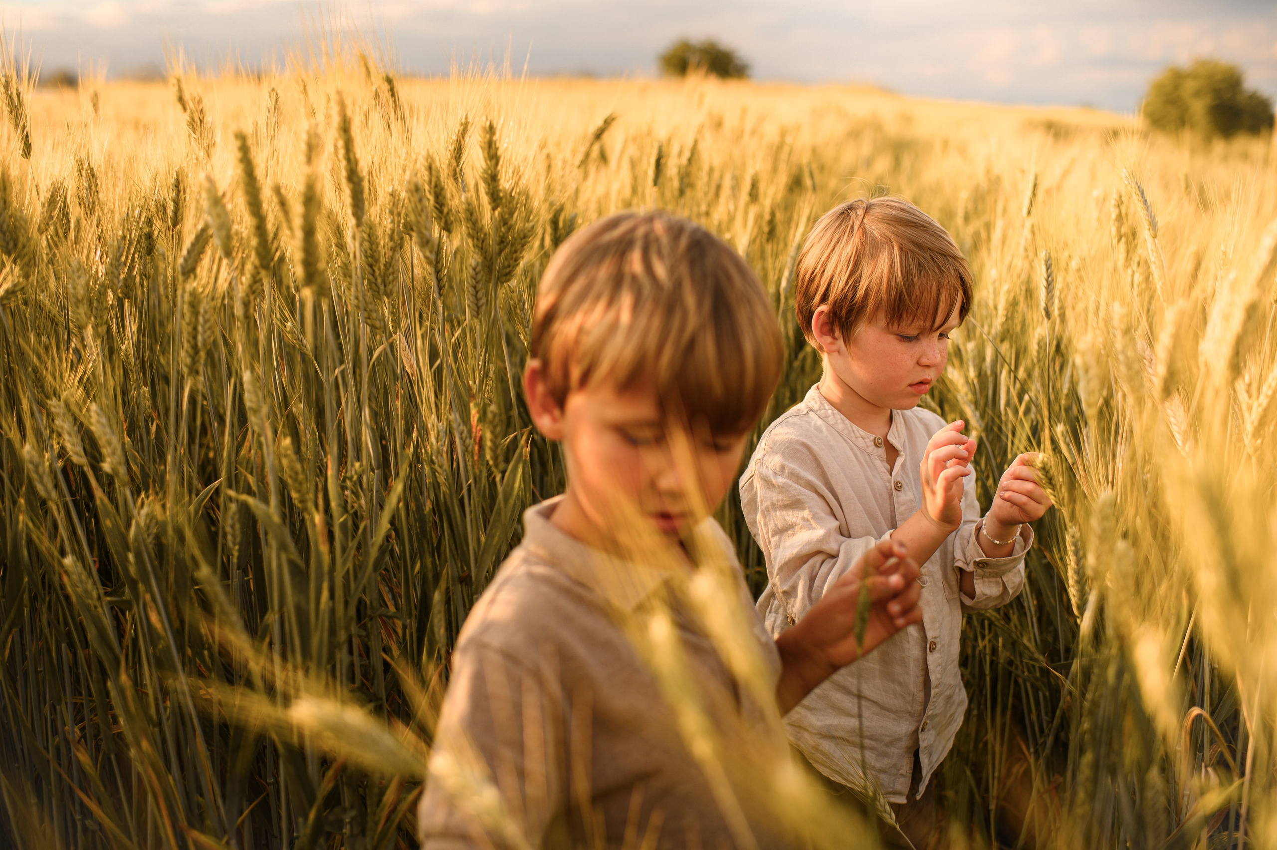 Wheat fields. Семейная, детская, портретная и предметная фотосъемка в Салониках