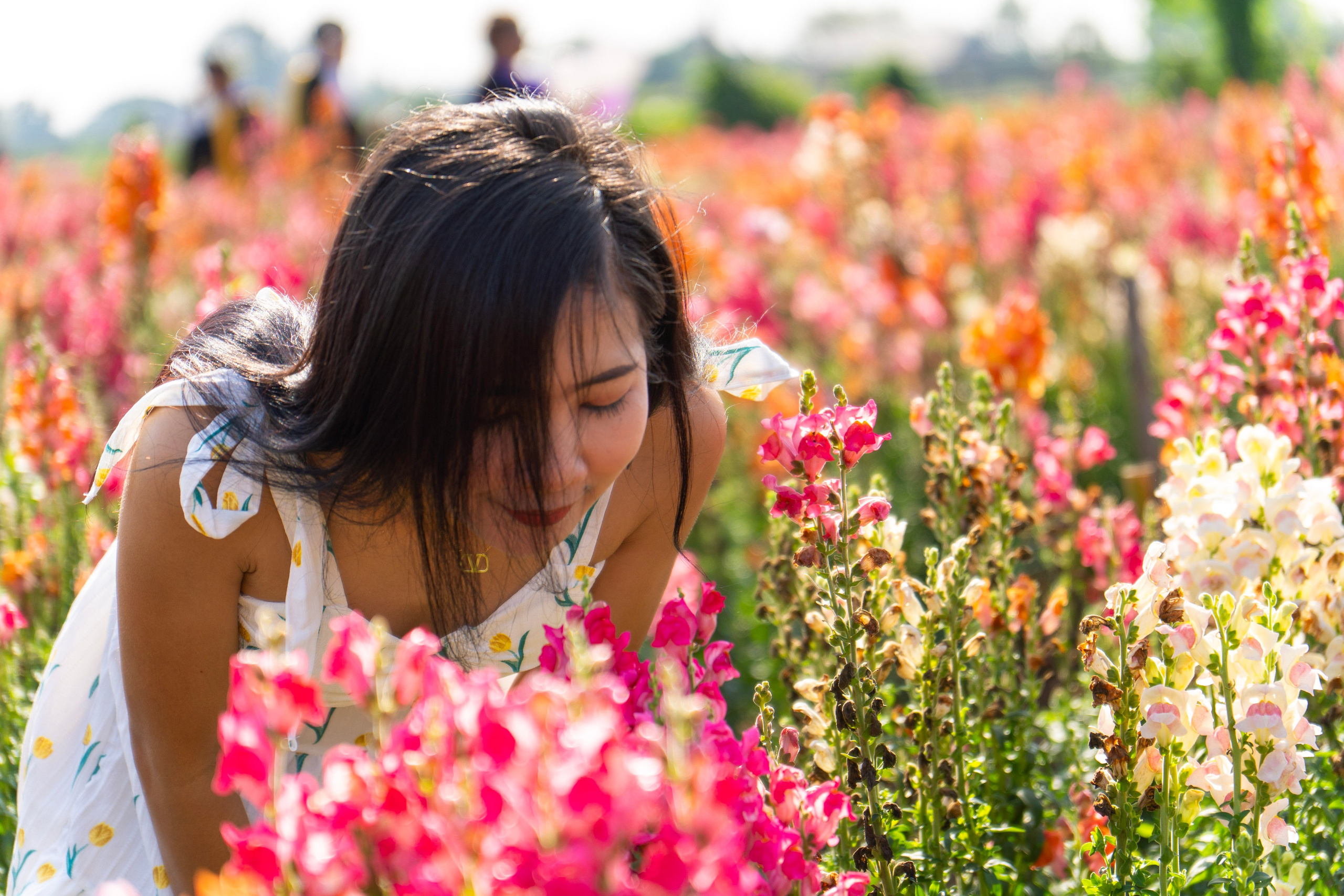 Pim. Art and outdoor photography