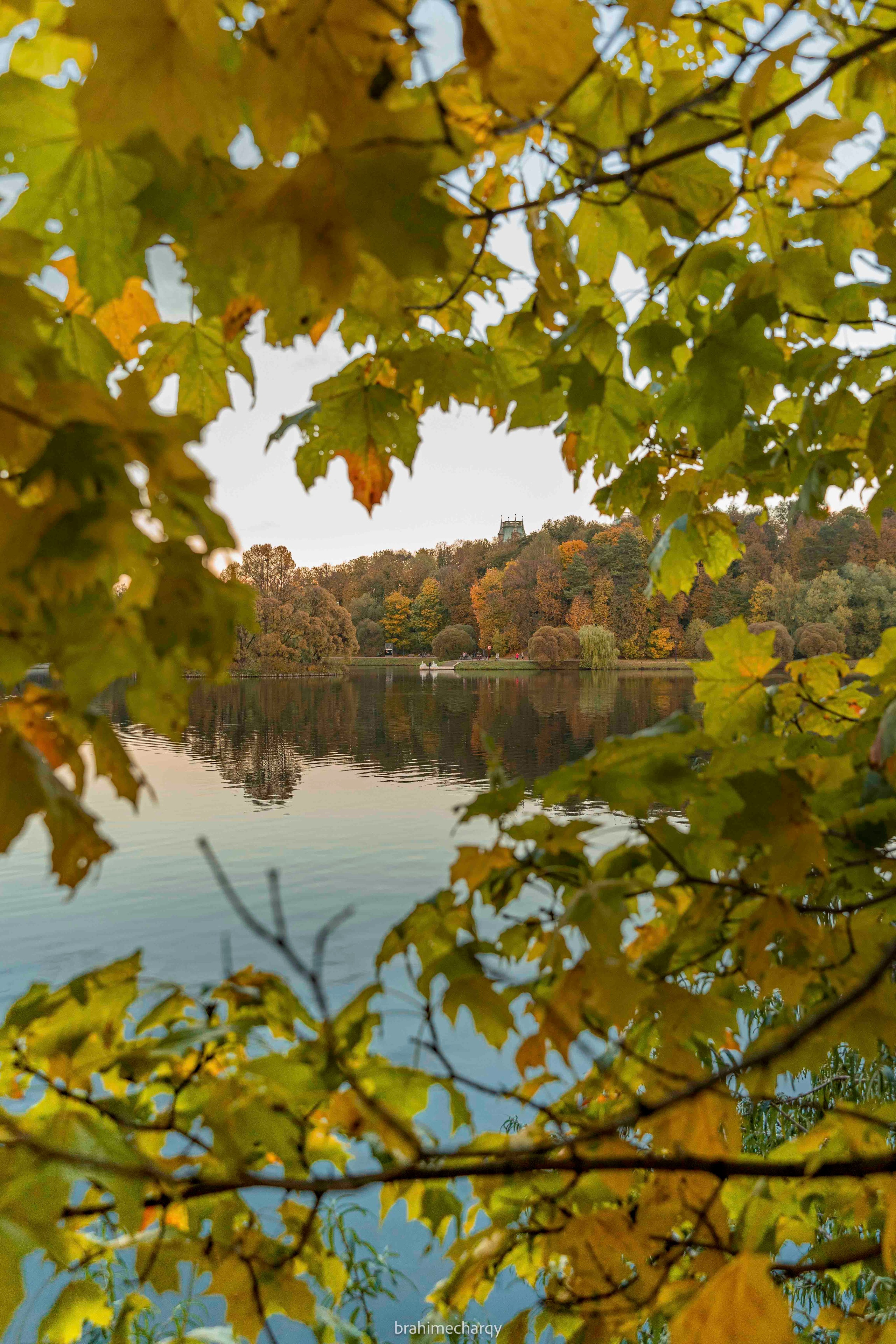 Фото. Брахим — фотограф