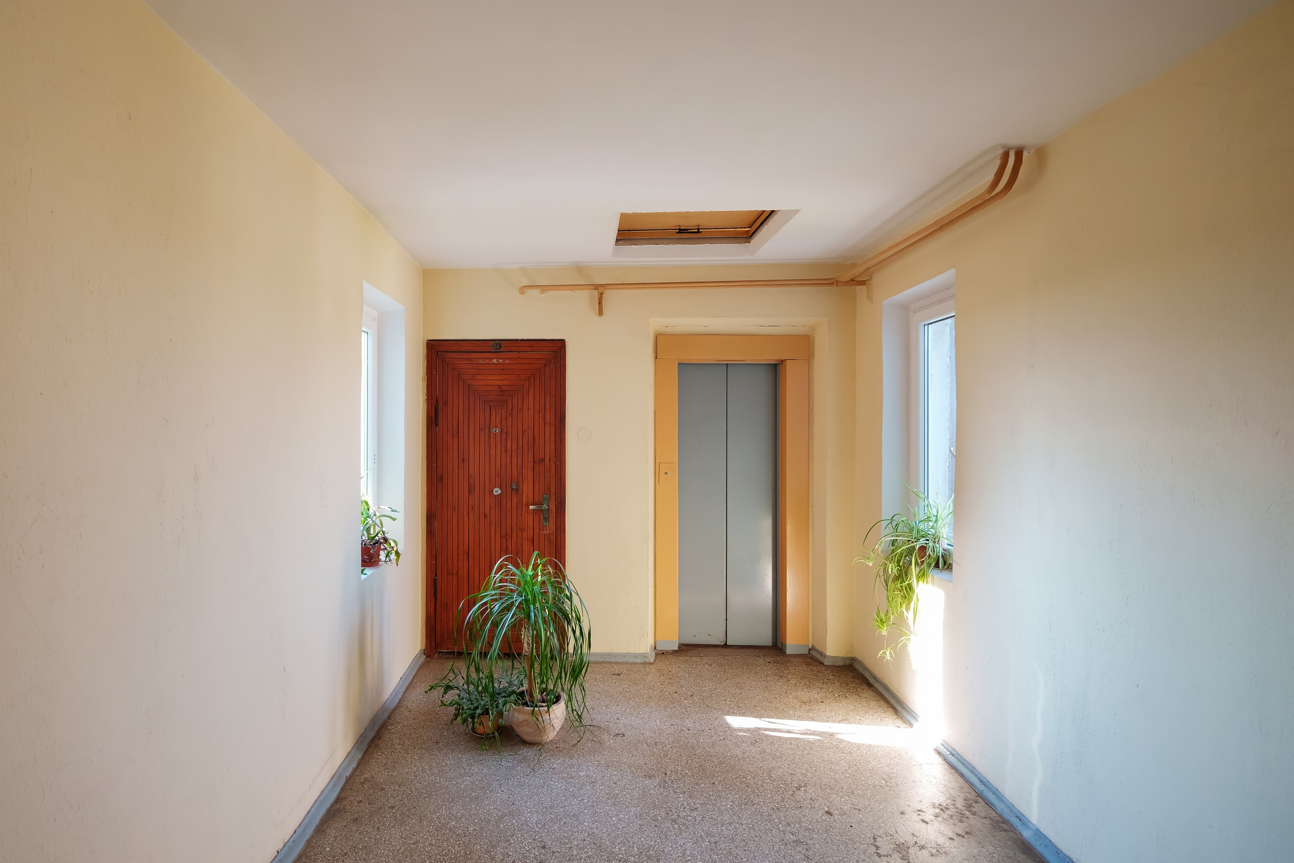 Papilenų g. 11. Elina Sapiega fotografė Vilniuje