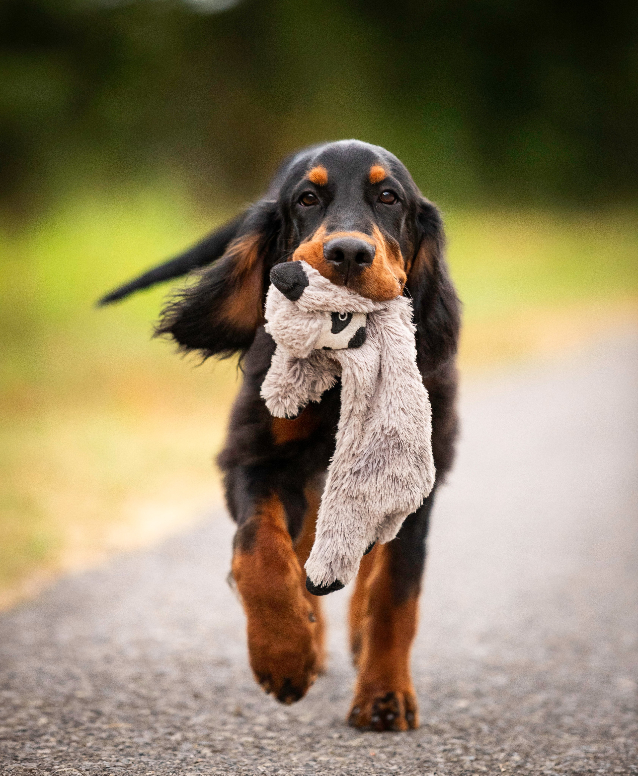 Plener. Yurii Orlyk Photography