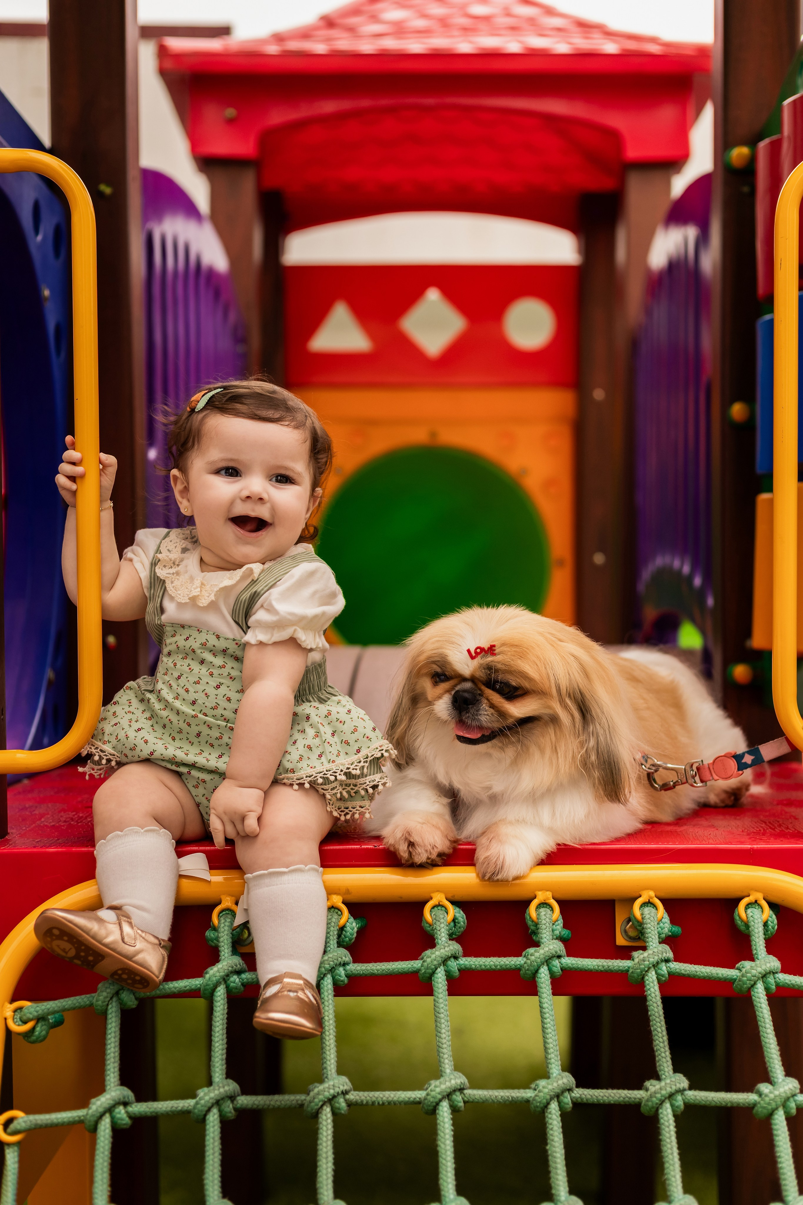 Acompanhamento de bebê