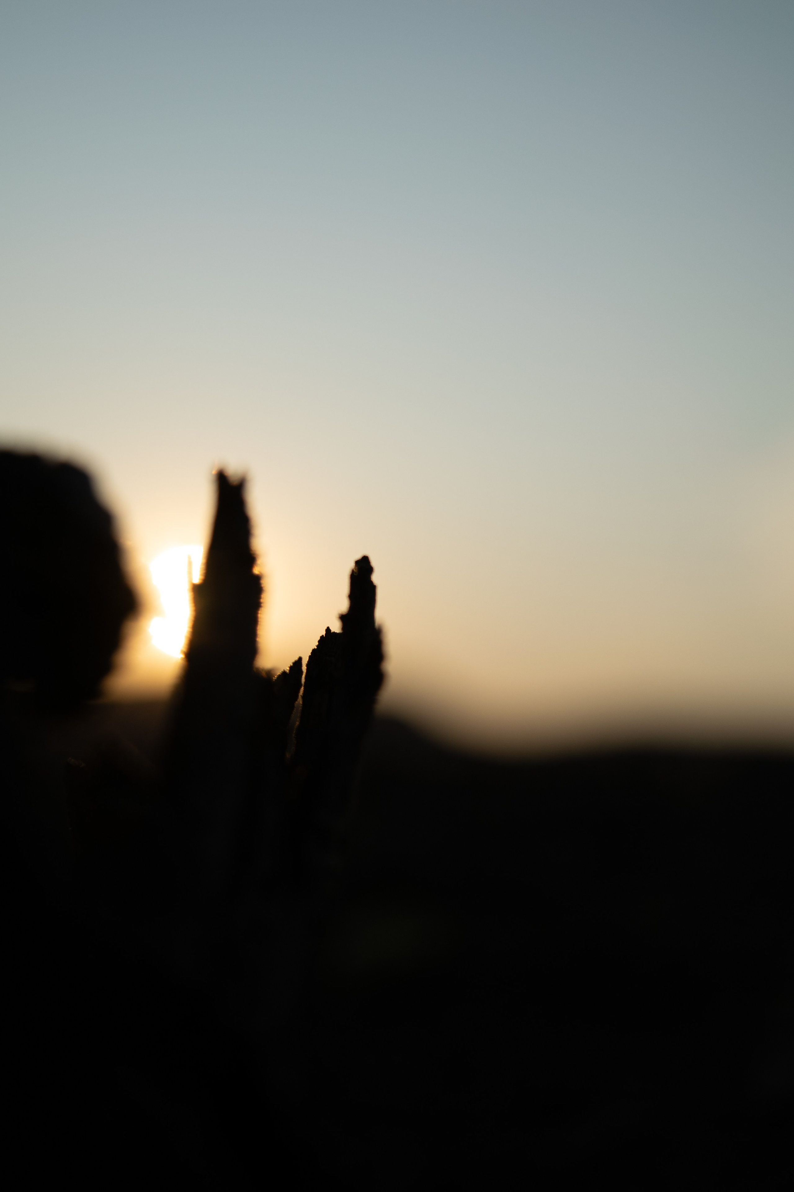 Aleatório. Ryan Farias — Fotógrafo