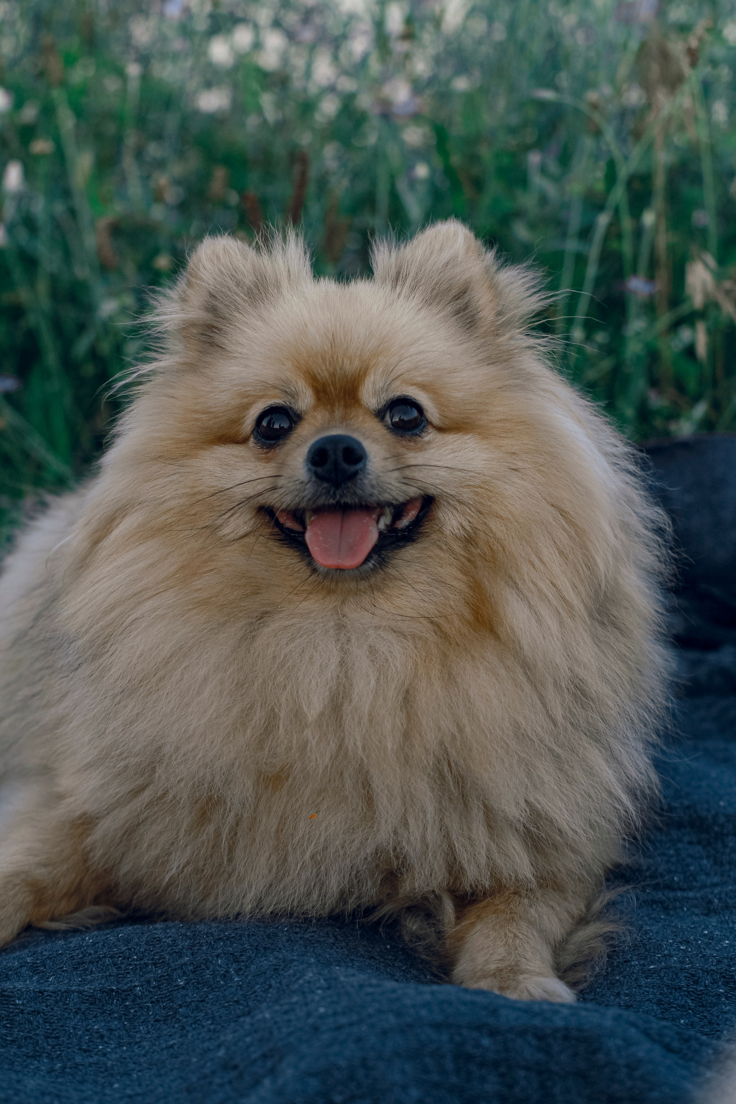 Victoria’s family. Iryna Zhyvora | Photographer | Stockholm