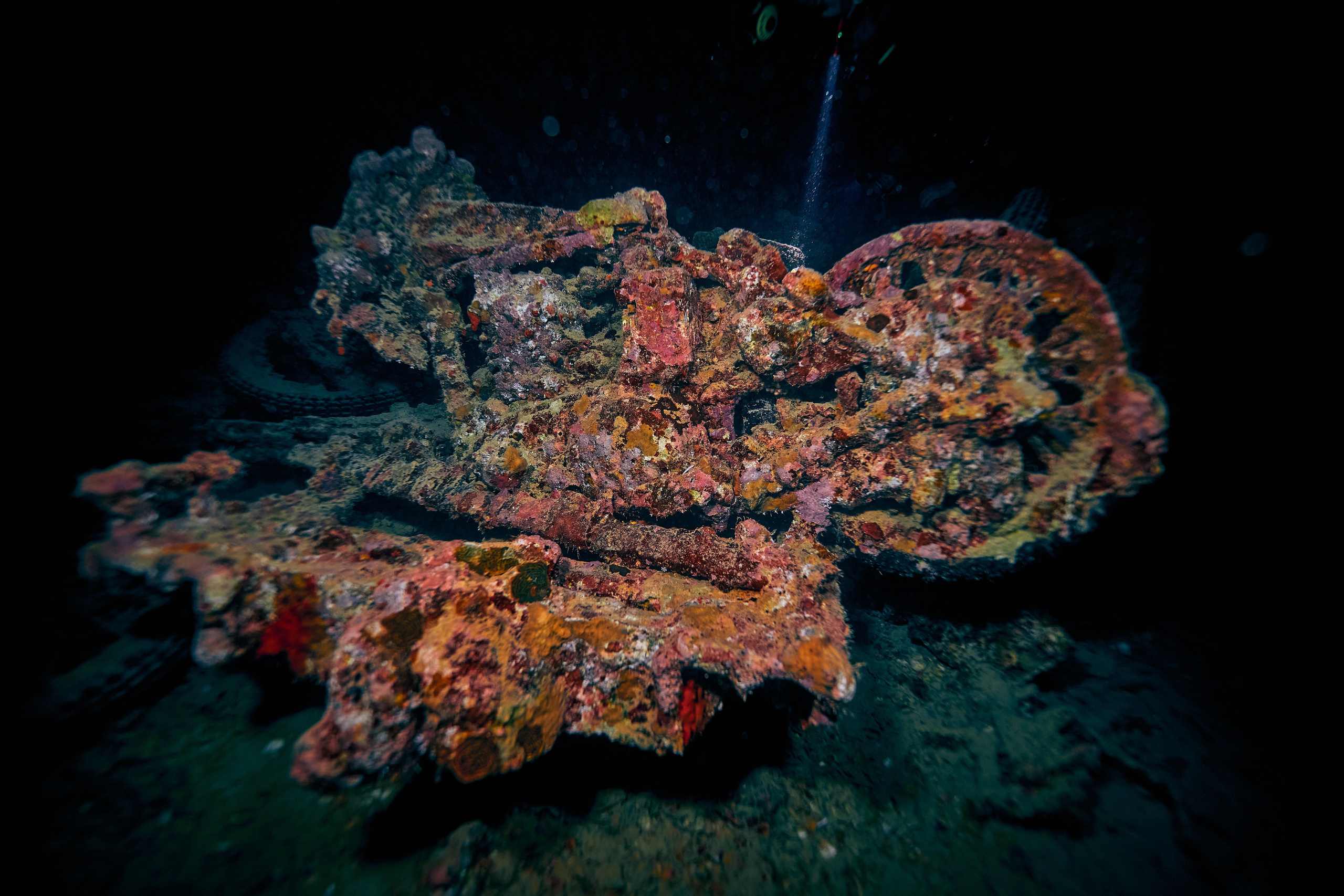 Underwater photographer Andriej Szypilow - photos of the mysterious SS Thistlegorm - sunken ship in the red sea