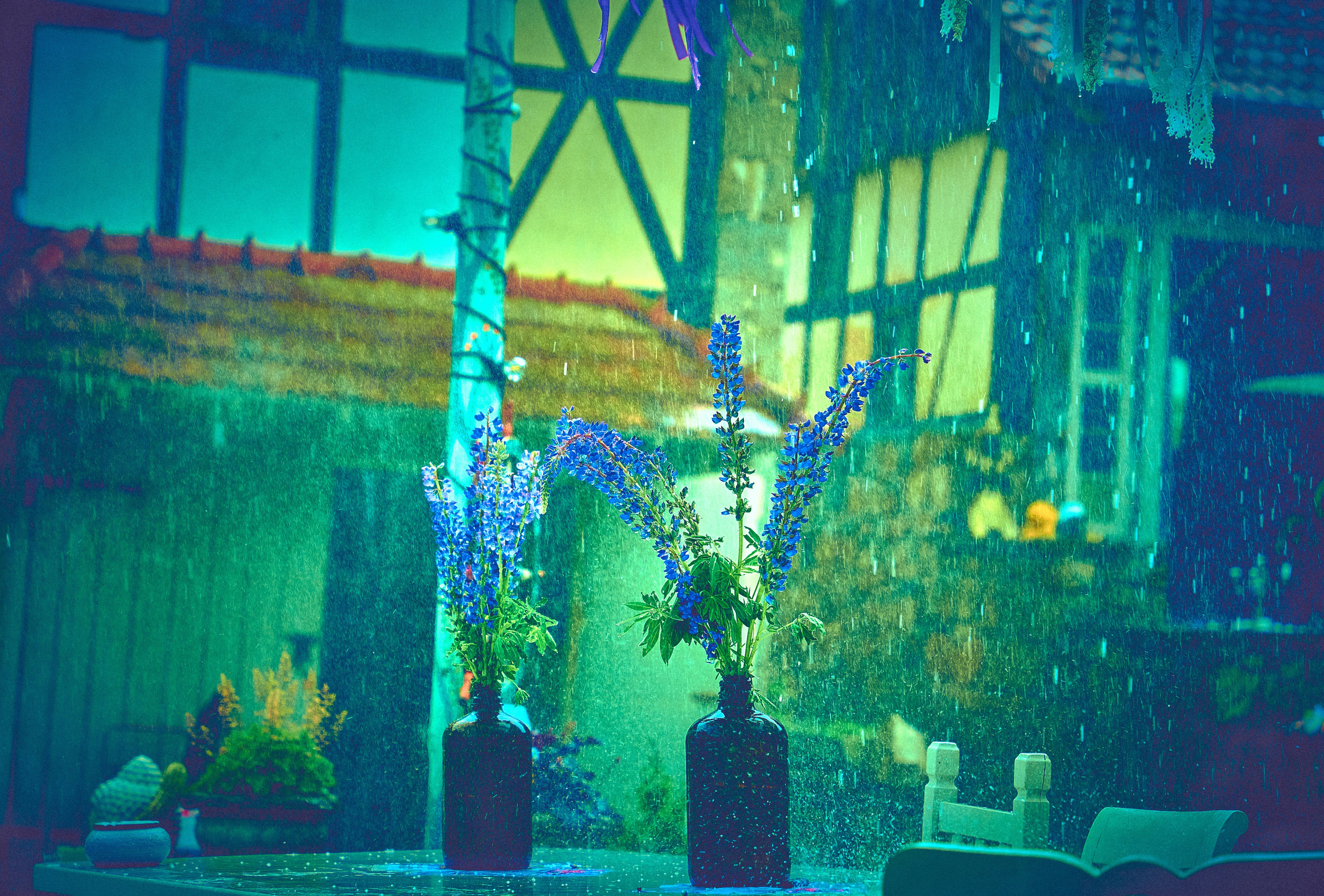 Первый День рождения Бирюзового Острова (Turkusowa Wyspa). Андрей Шипилов — Фотография & Видеография