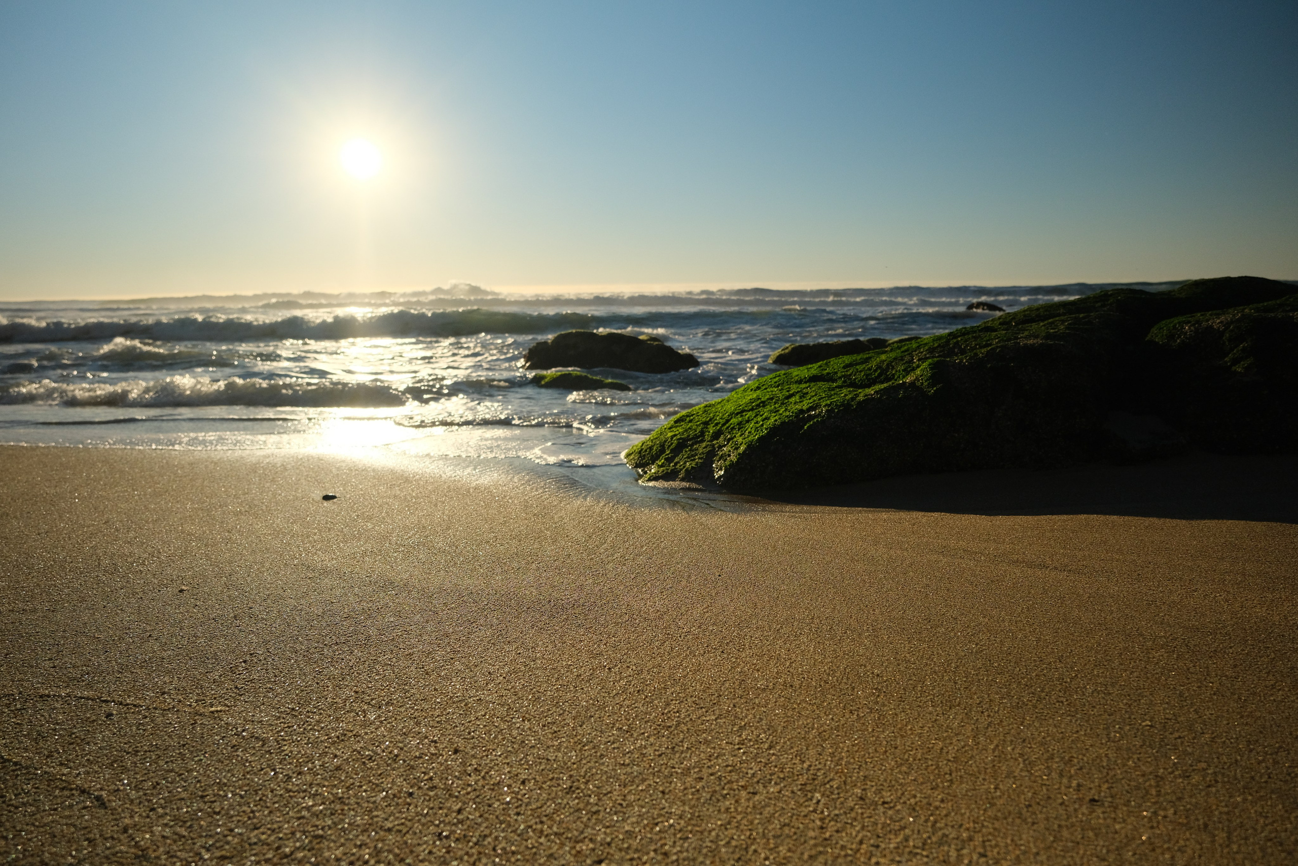 NATURE. Reportage concert portrait photography in the San Francisco Bay Area