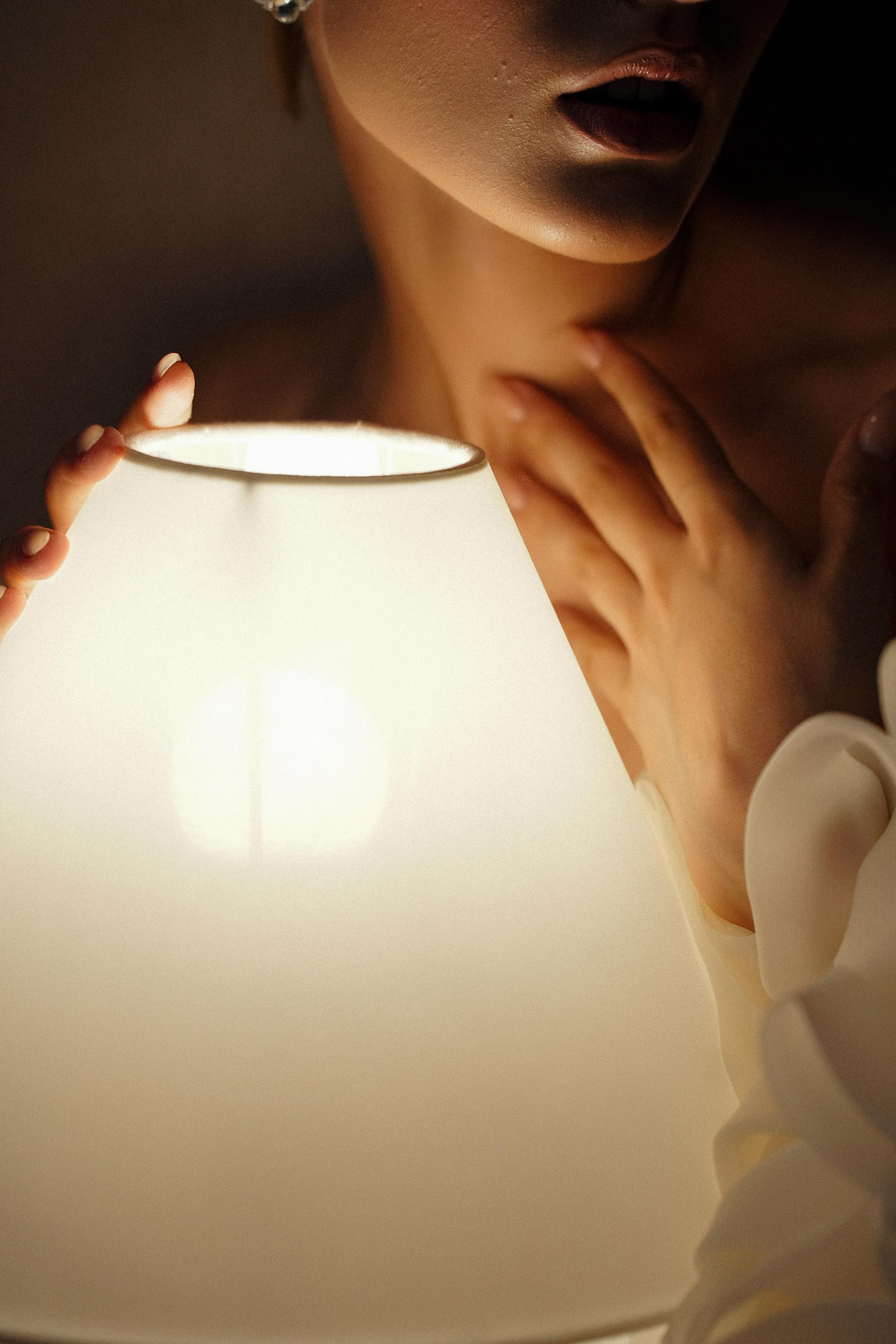 Николь Амир