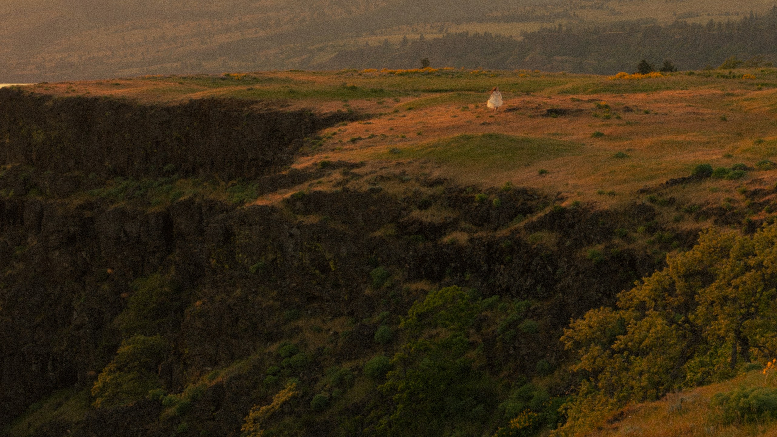 Soft light. Cinematic Photographer Oregon — Washington