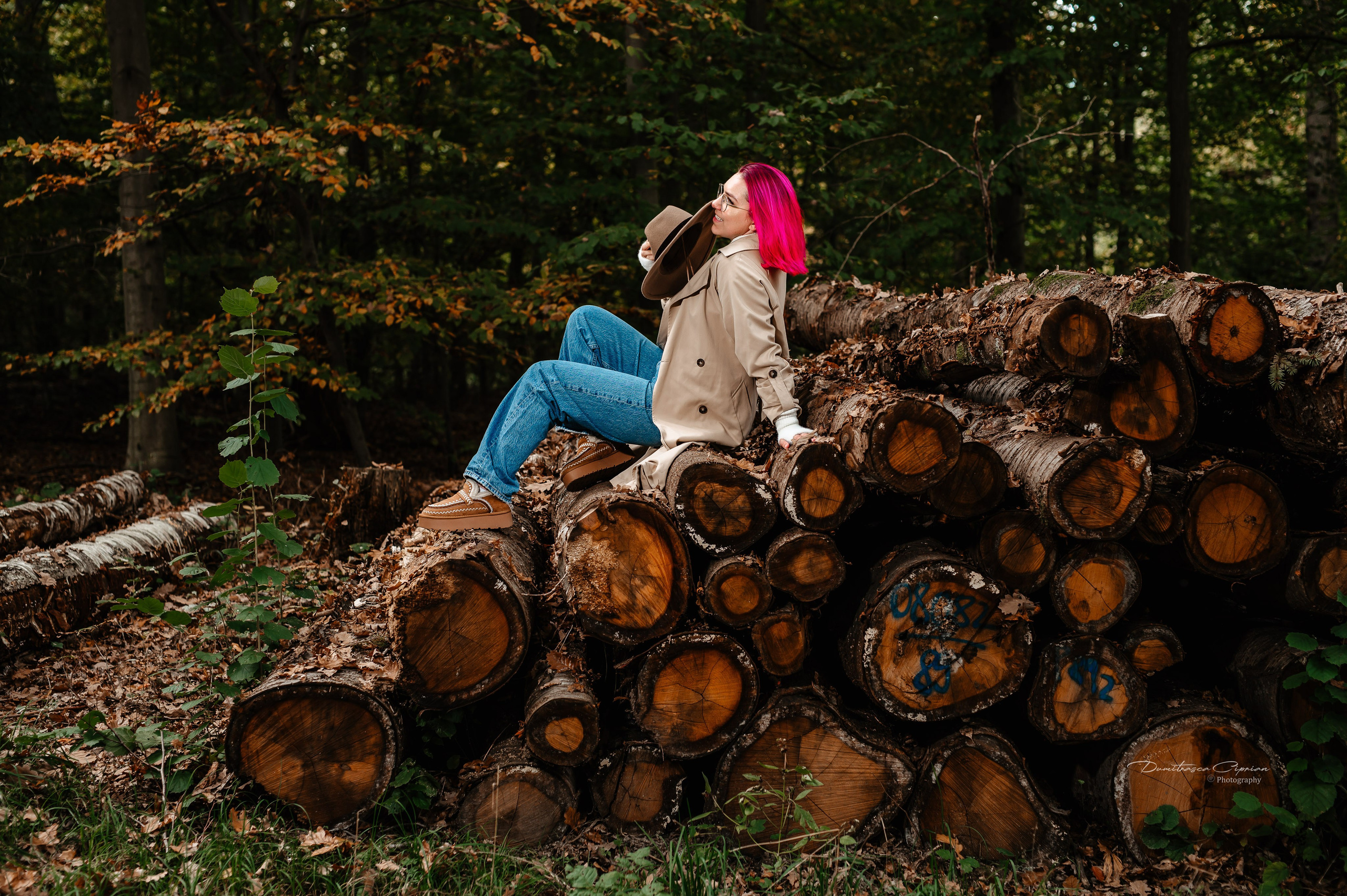 Fall in Light. Dumitrasca Ciprian Photography