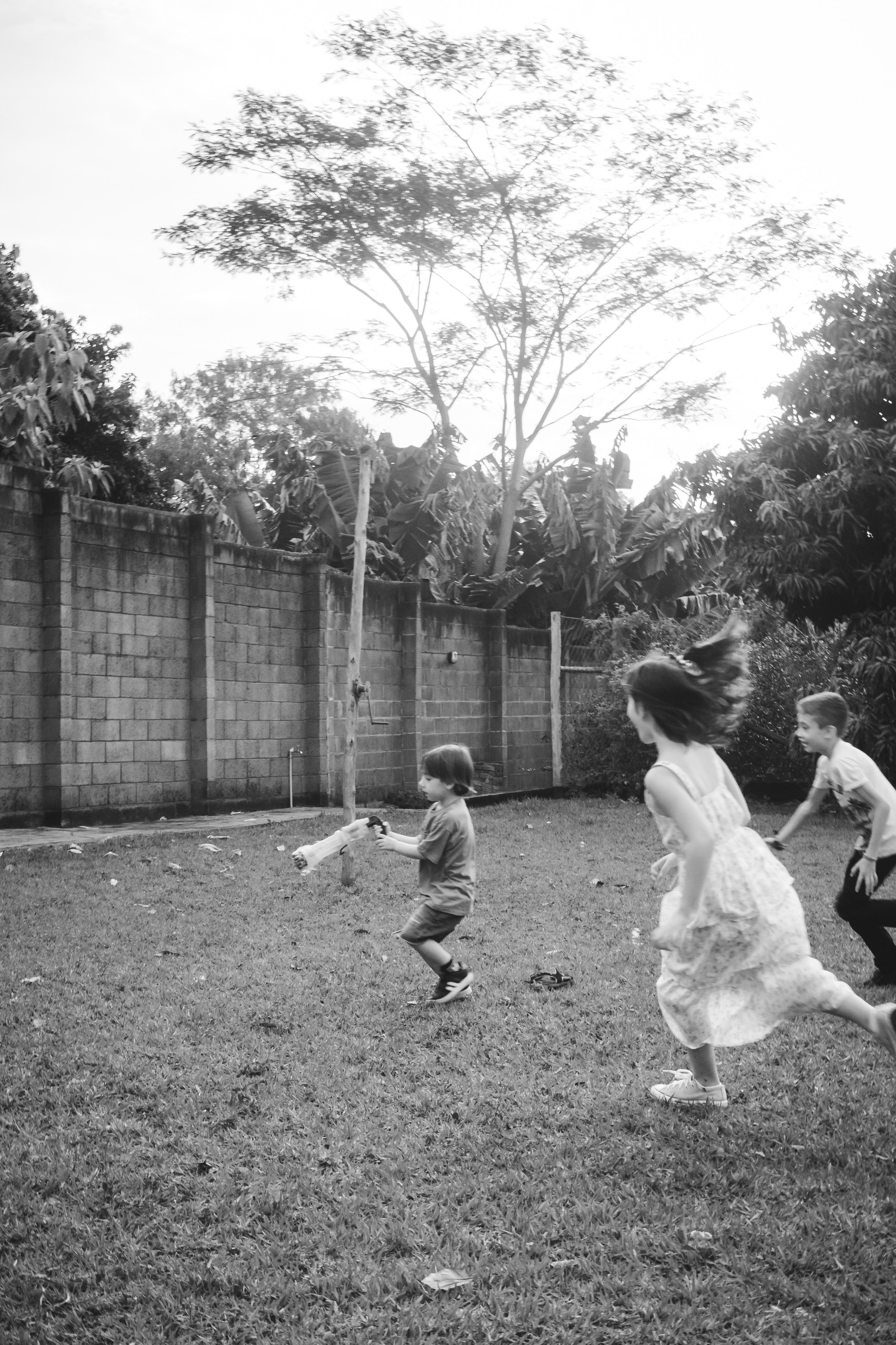 Alice — Aniversário 1 ano. Principal