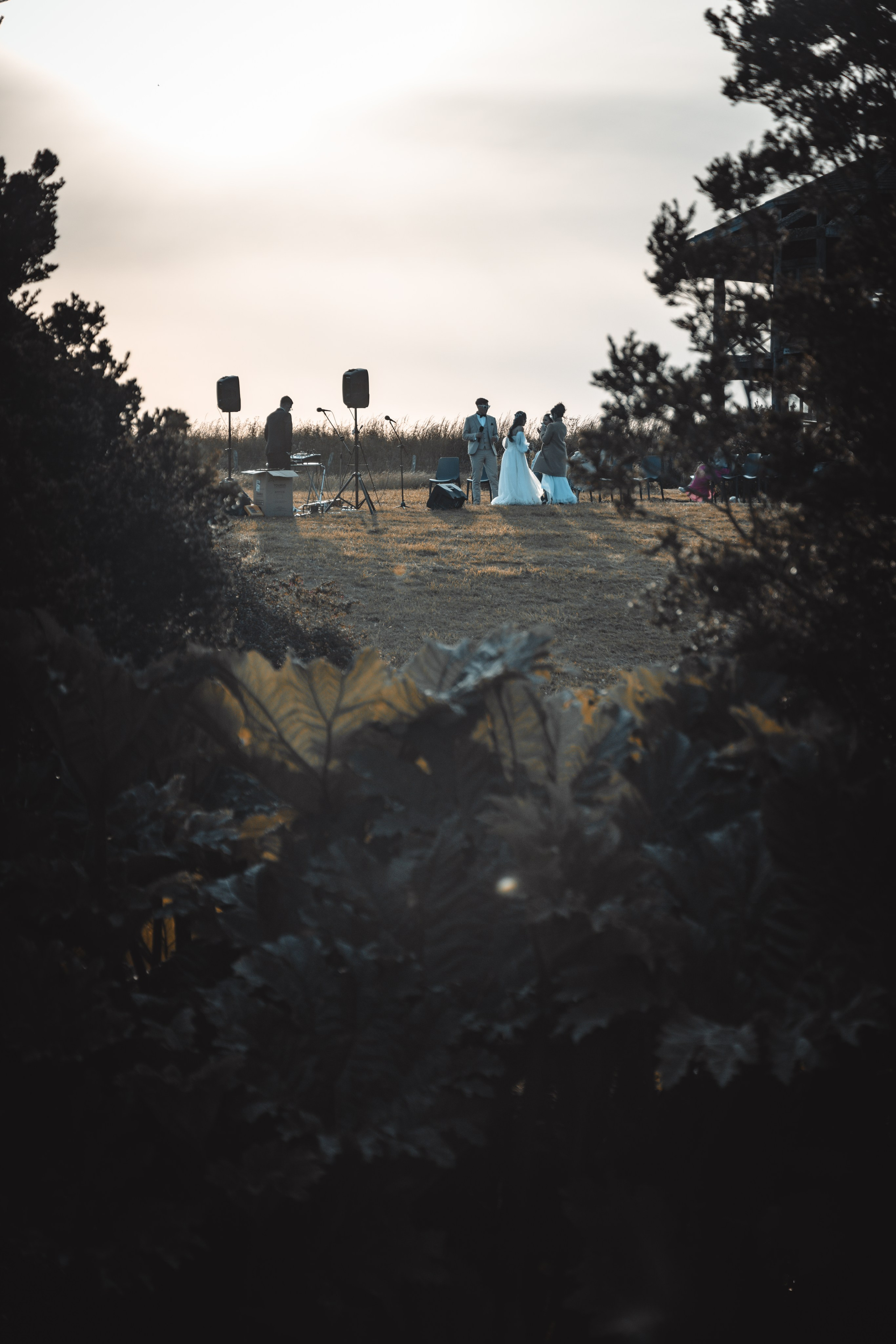 Carol & Ivo. Dinka & Emilio - El arte de preservar lo que no se repite