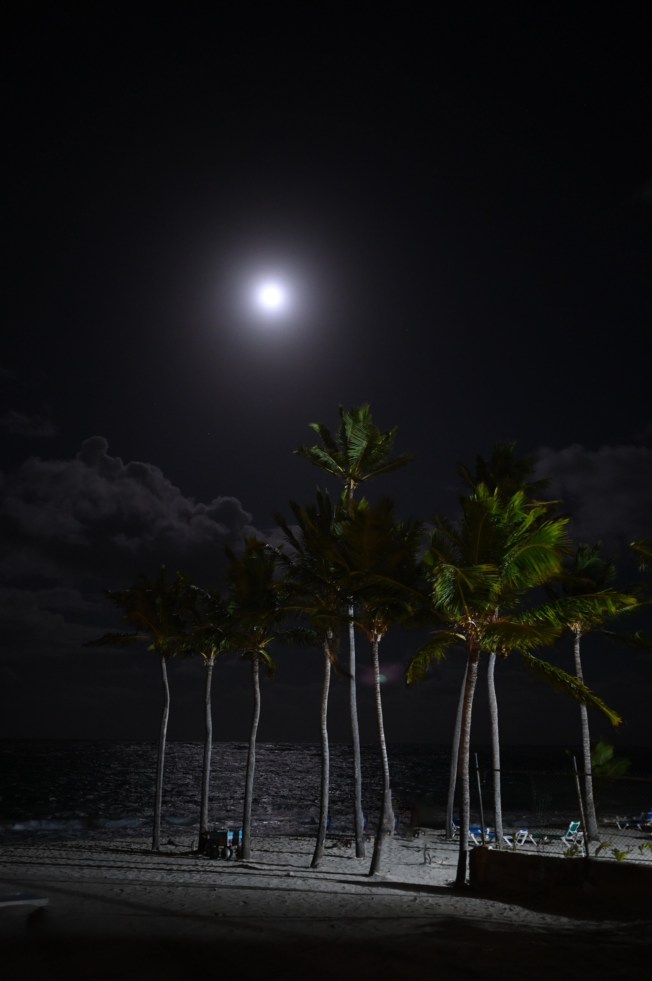 Vyvy & Evan’s Dream Wedding at Kukua Beach Club — Punta Cana Venue