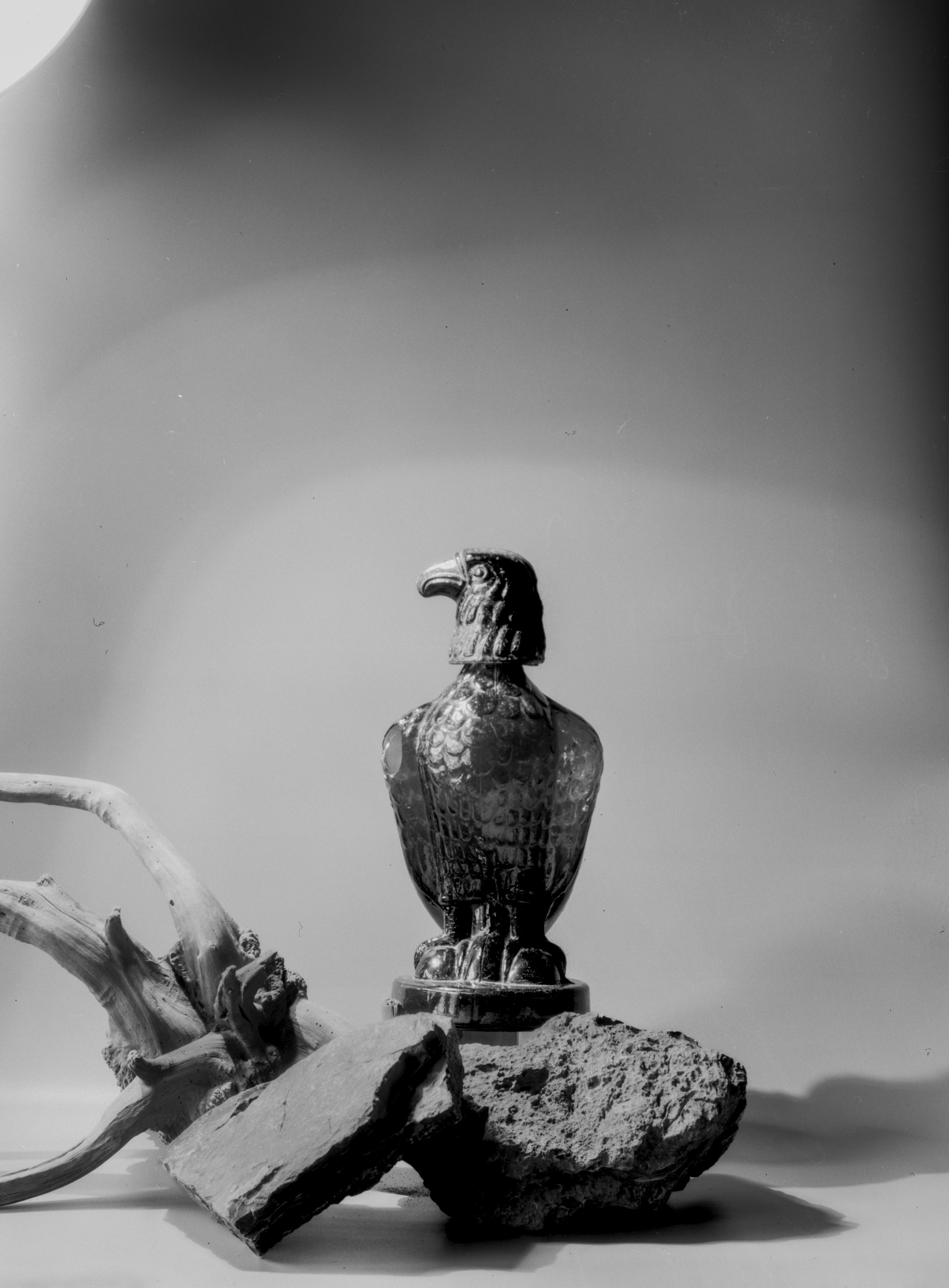 Everything on Film. Portrait, Fashion & Fitness Photography in Chennai| SunnyHazePhotography