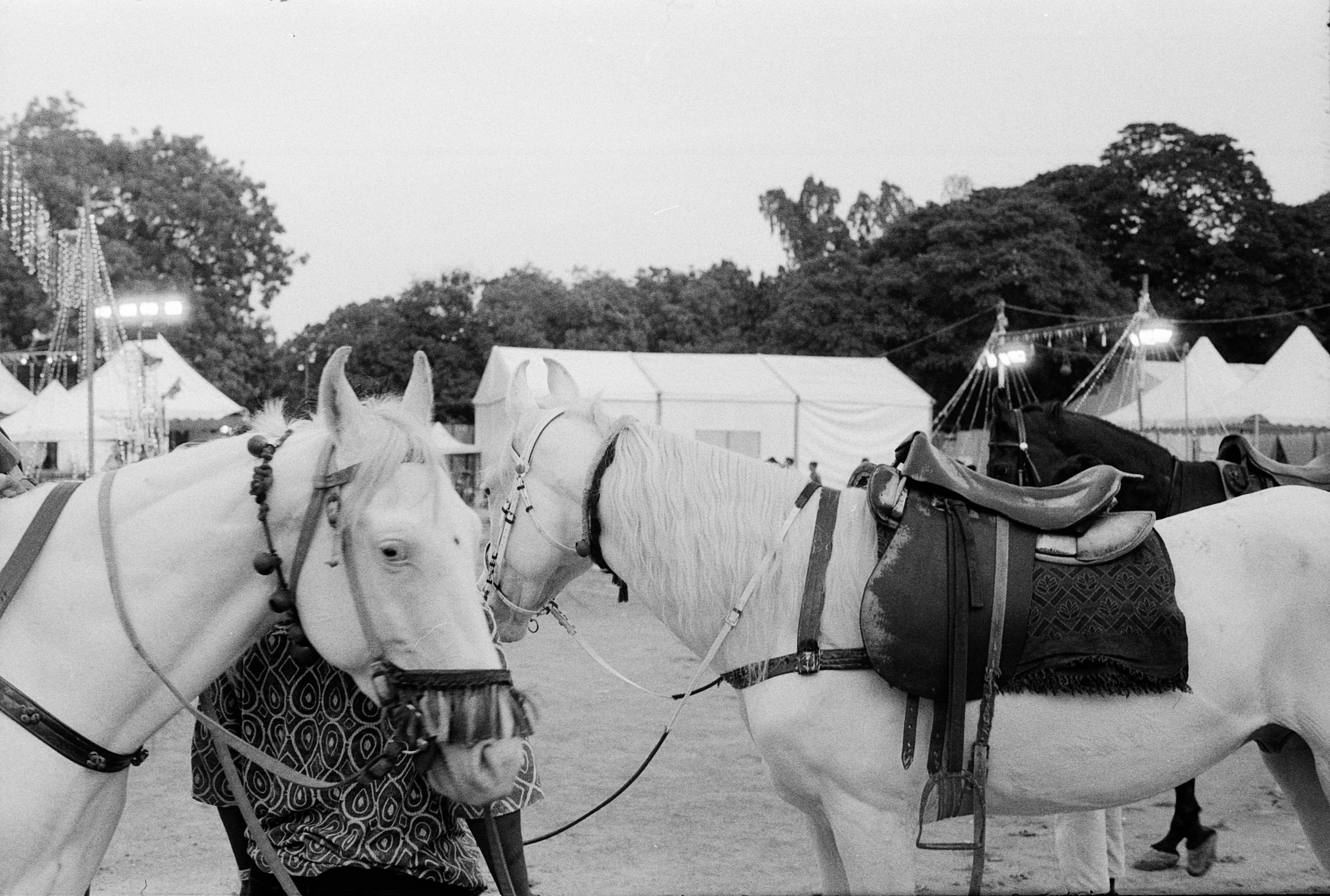 Everything on Film. Portrait, Fashion & Fitness Photography in Chennai| SunnyHazePhotography