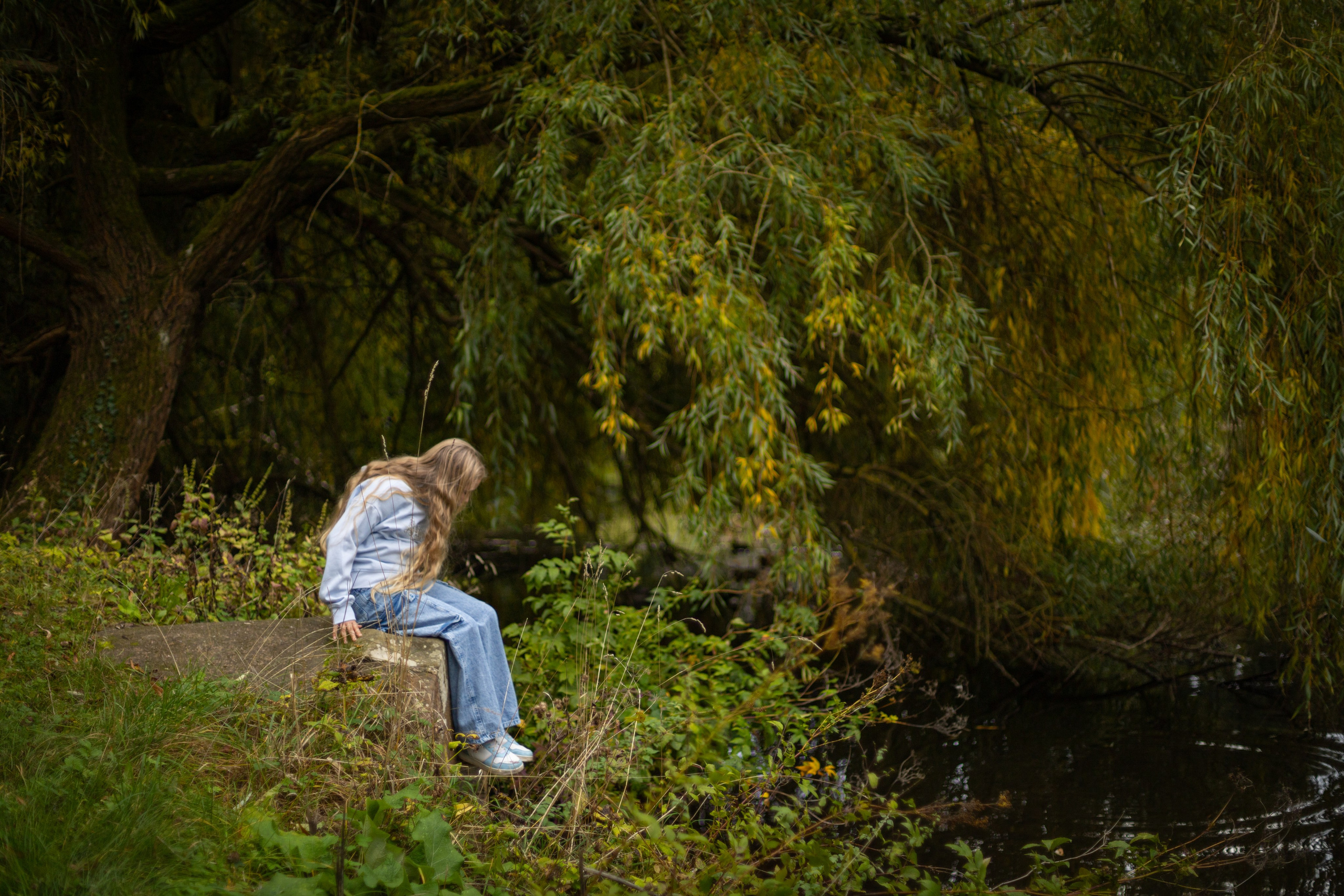 Autumn photos. PHOTOgrapher Germany MARBURG