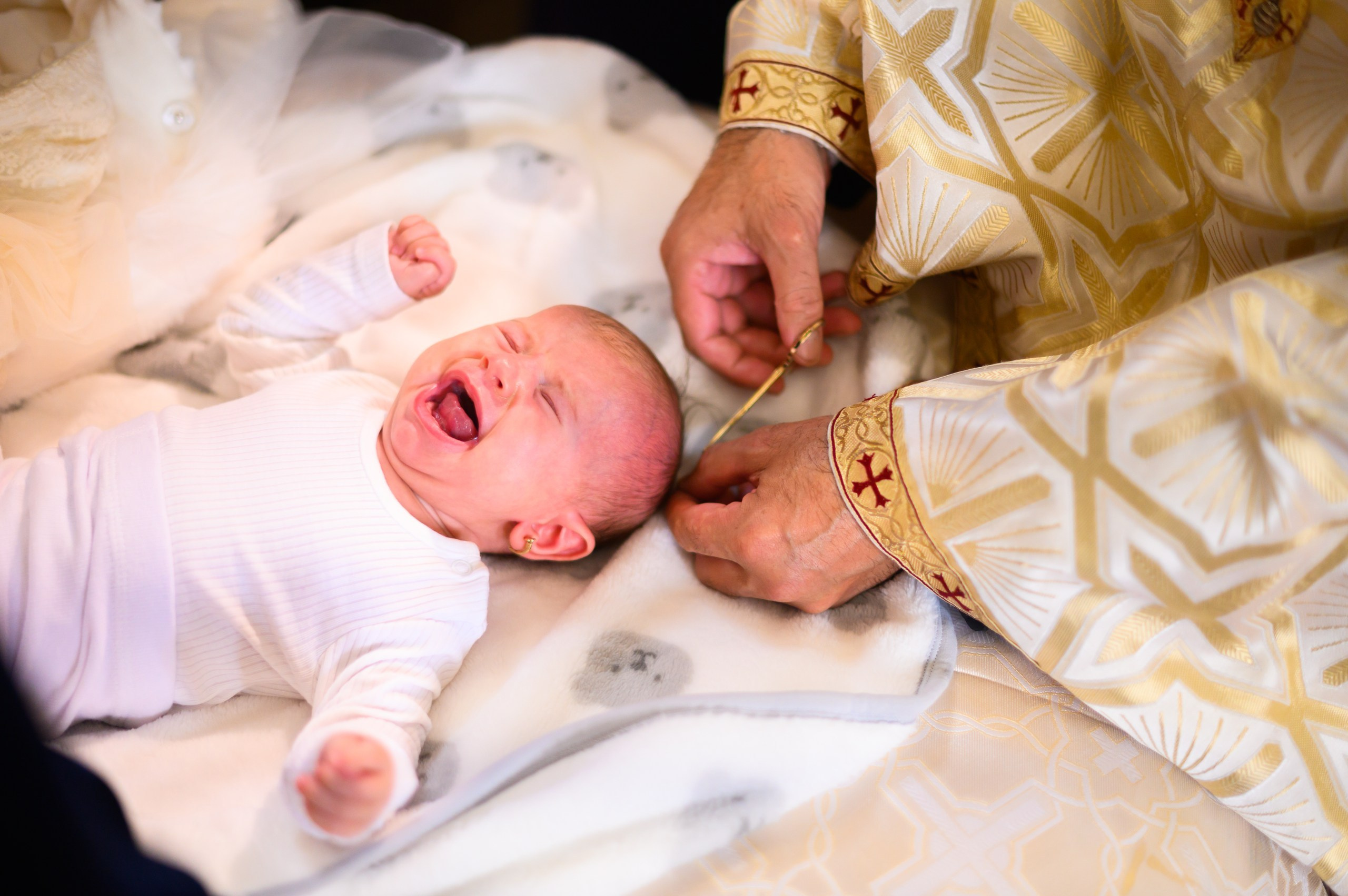 I. BCarp Productions