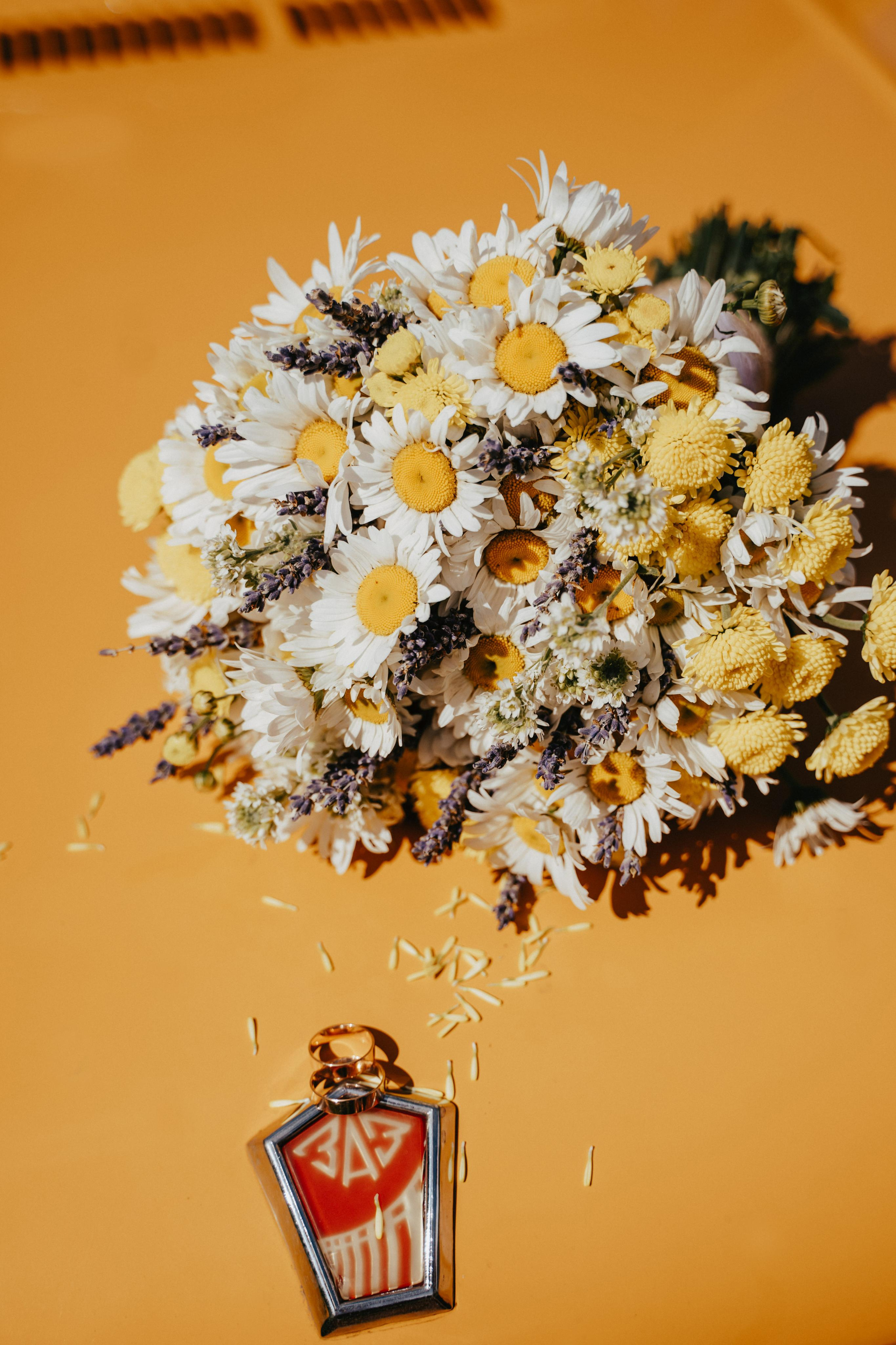 Artem and Natasha. Wedding family photographer and videographer California San Francisco Bay Area