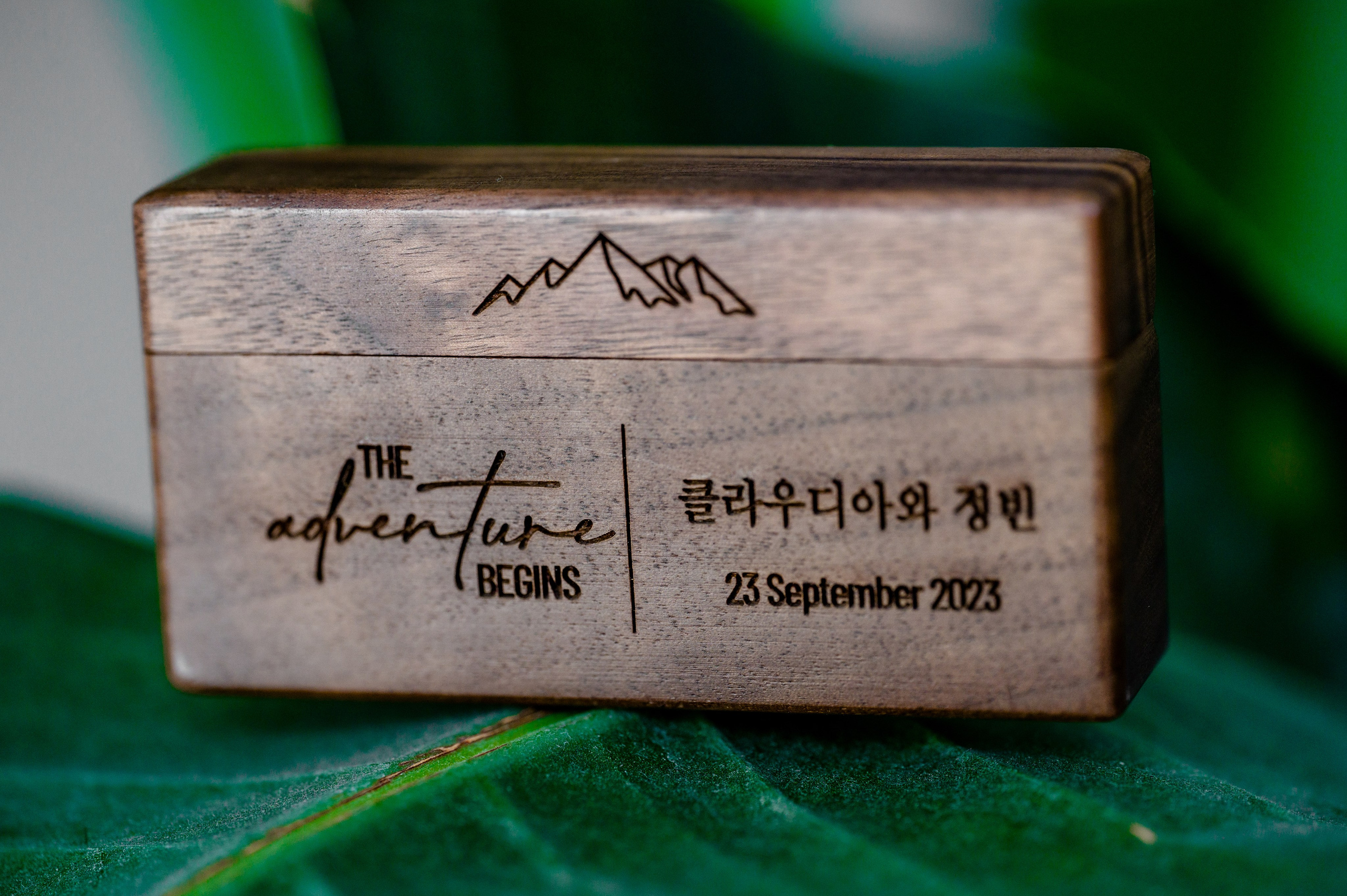 BYZO MEDIA. PETRU BYZO - family and children photographer in ROMANIA