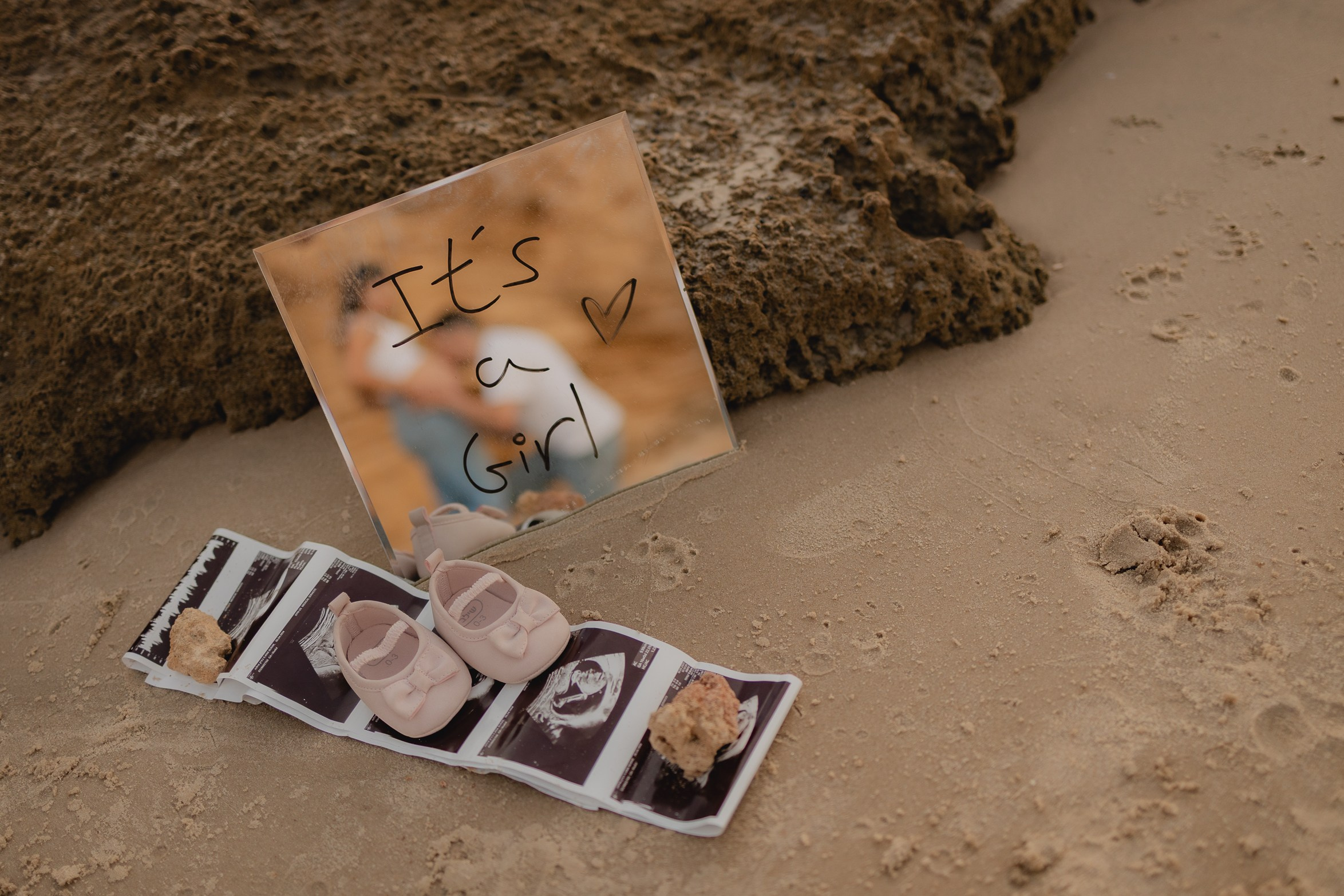 צילומי הריון עם כלב מתוק. דף בית