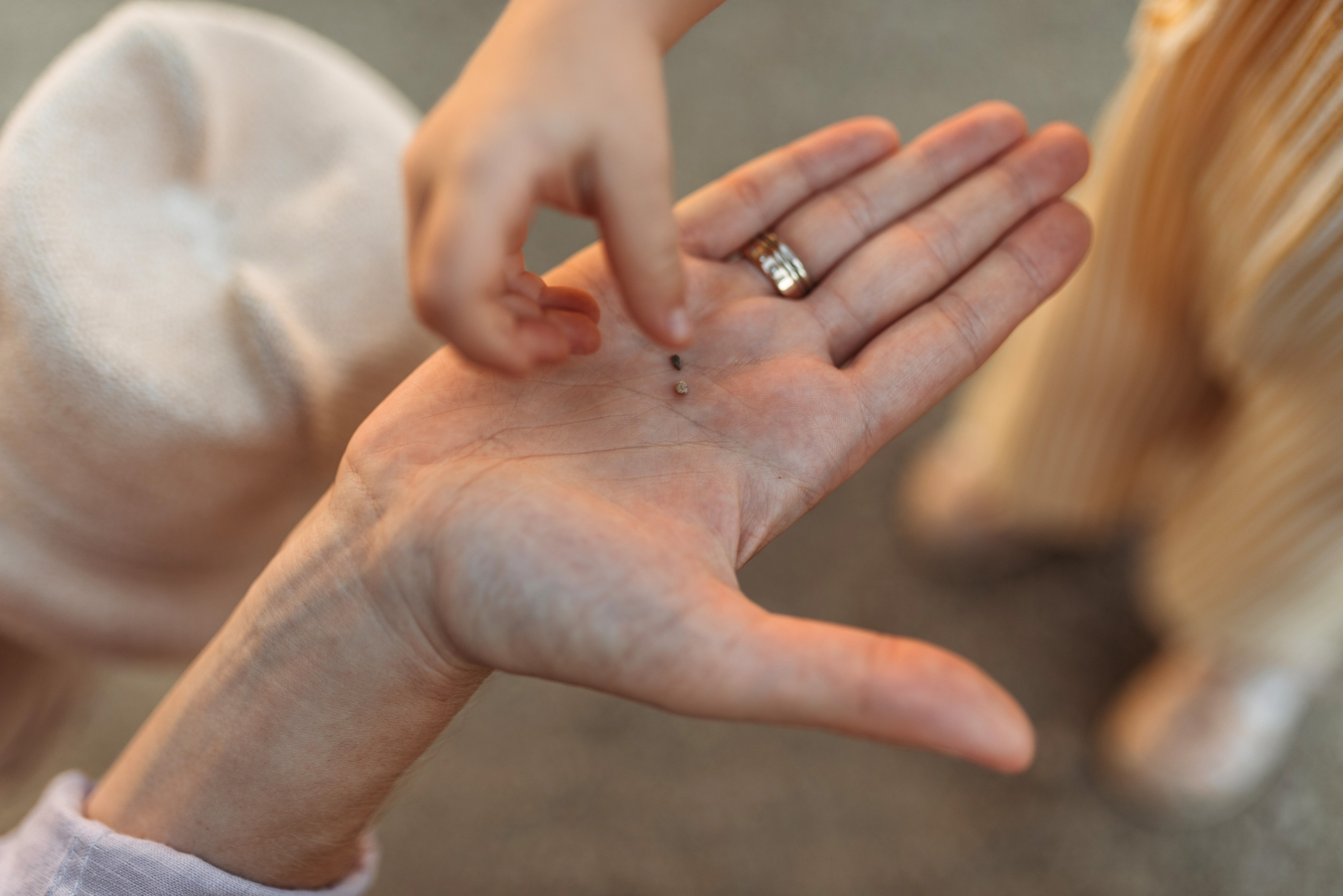 Trier. Familien- und Hochzeitsfotografin. Ich arbeite in Koblenz und Rheinlan