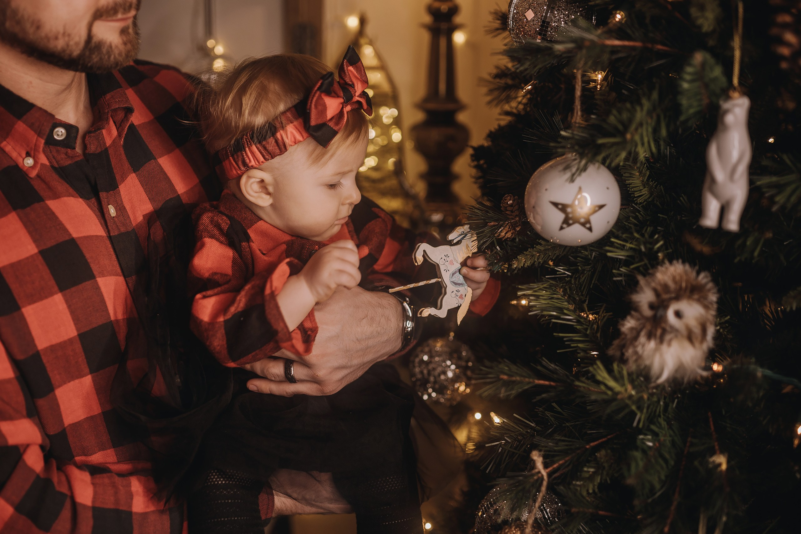 25.11.2023 Christmas Photoshoot 1. Wedding family event photographer in Chicago Nick Yushevich