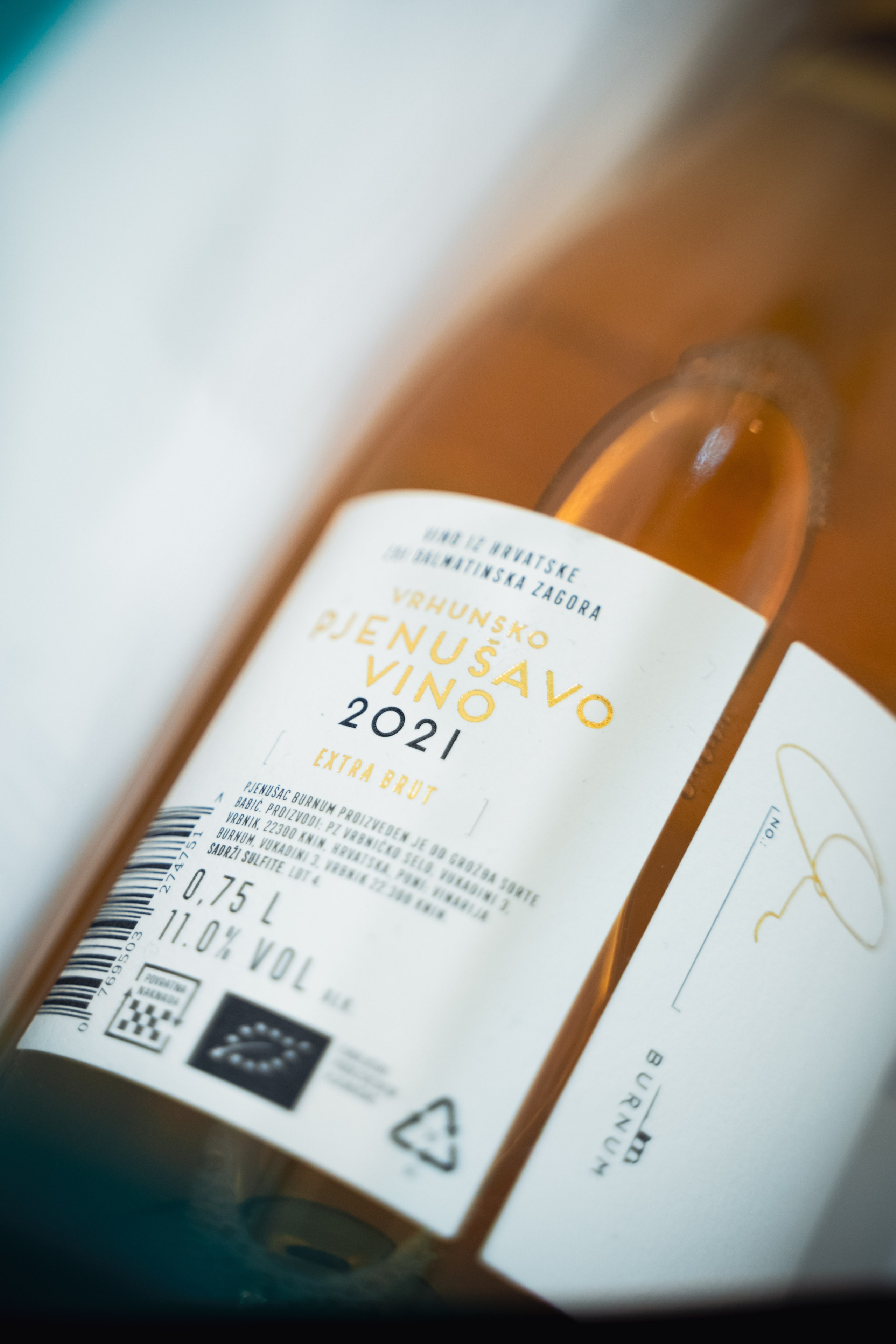 Regena. Жуков Студио