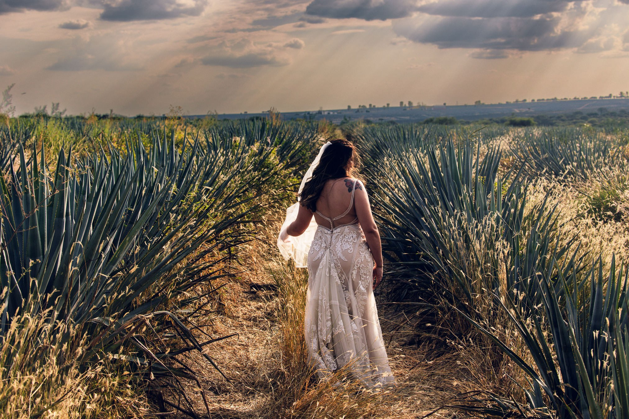 Aguascalientes / Jalisco Trash The Dress Viviana y Jesse. Estudio de fotografia en Tijuana