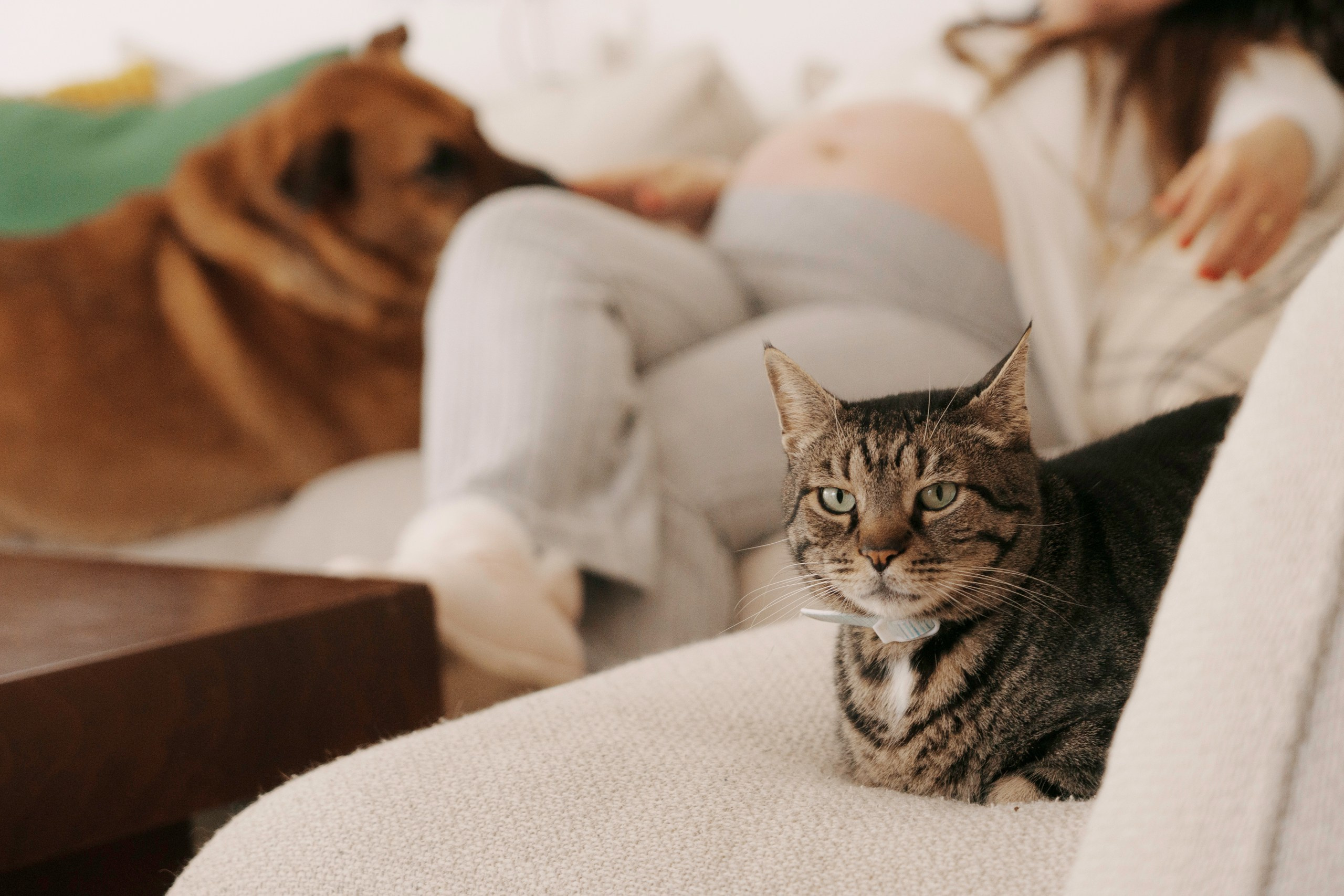 Катерина. Фото и видео съемка