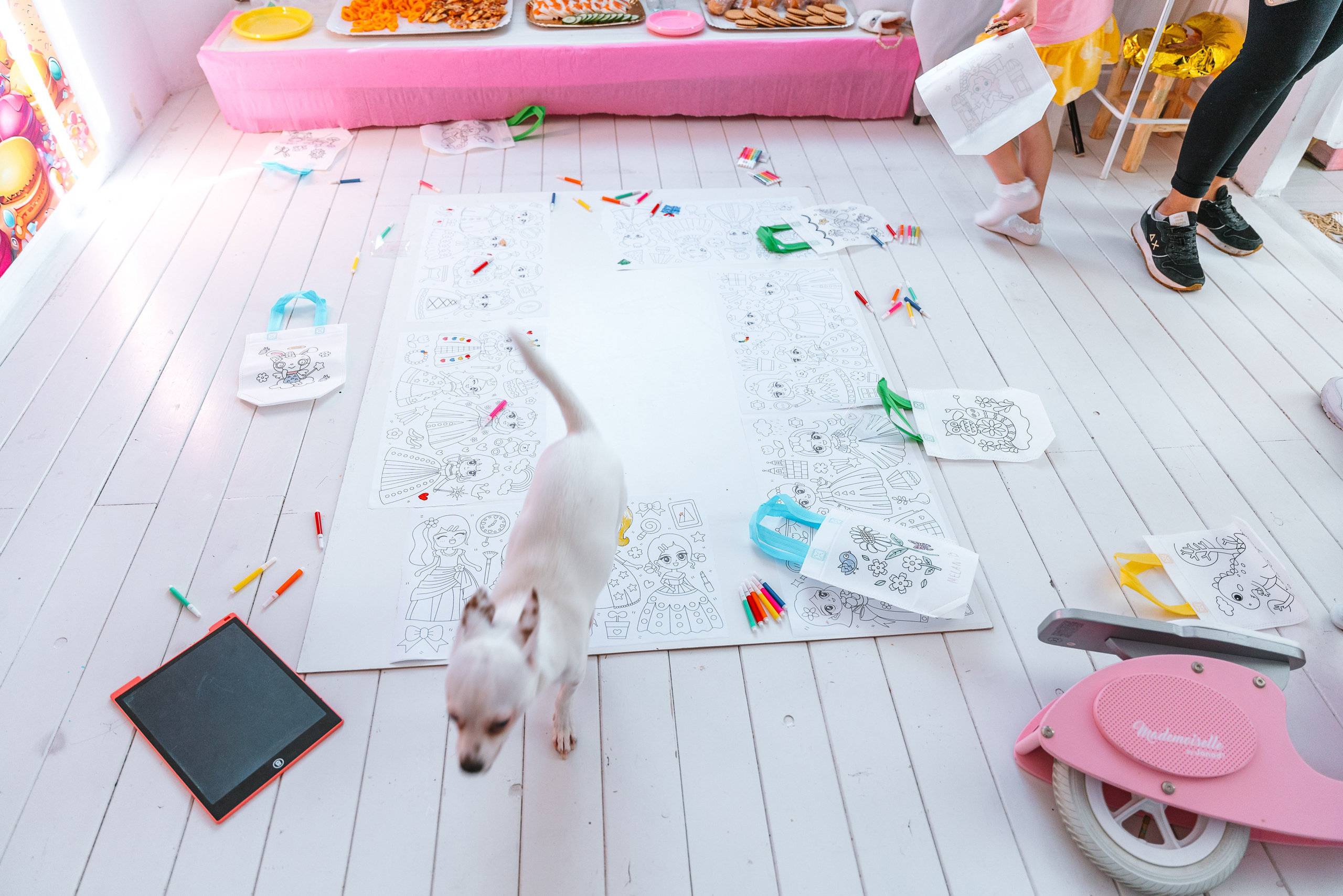 AFFITO STUDIO: SELFIE°VIDEO°BIRTHDAY PARTY. Svitlana Miahka fotografa a Genova